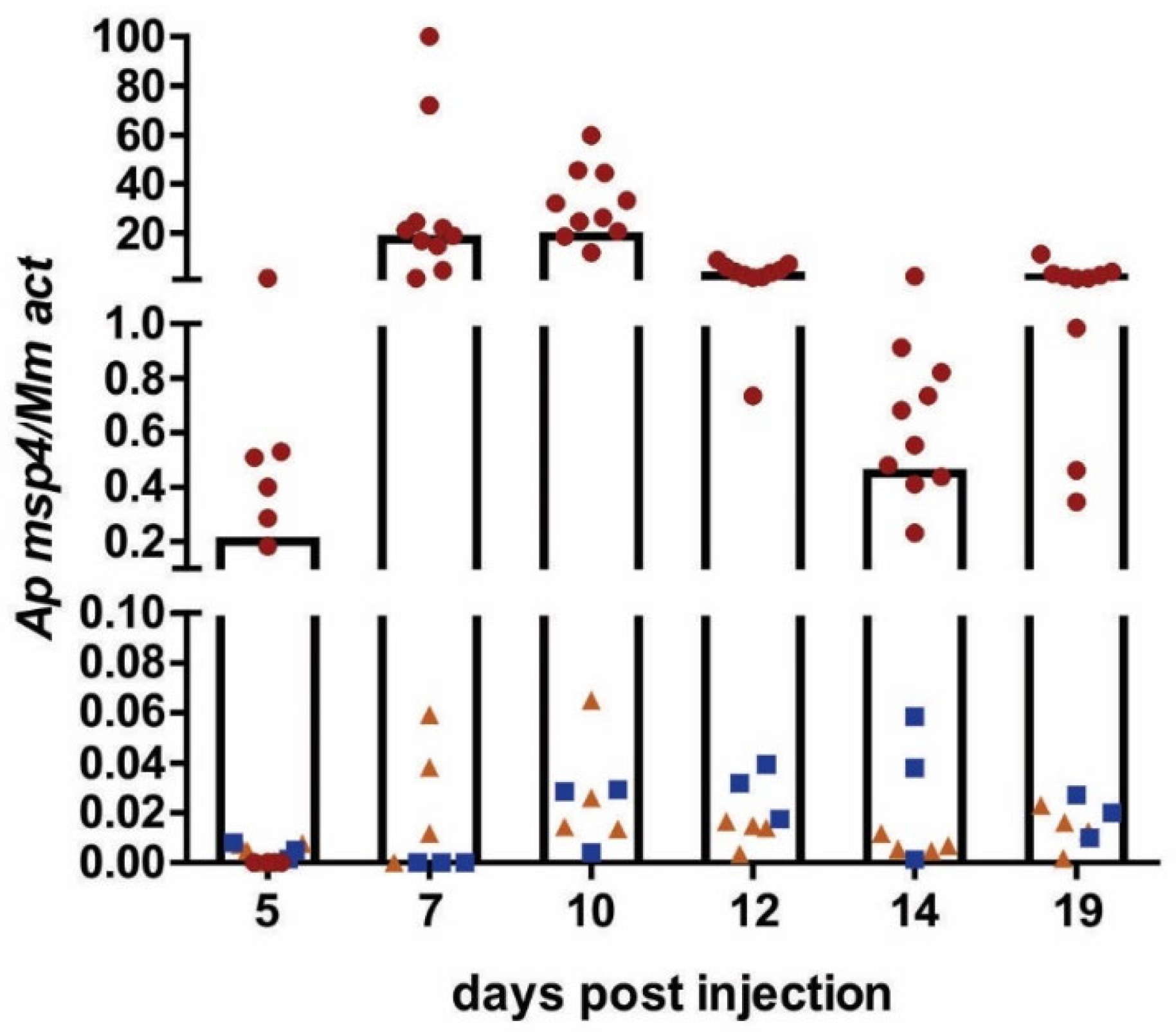Pathogens 11 00820 g002