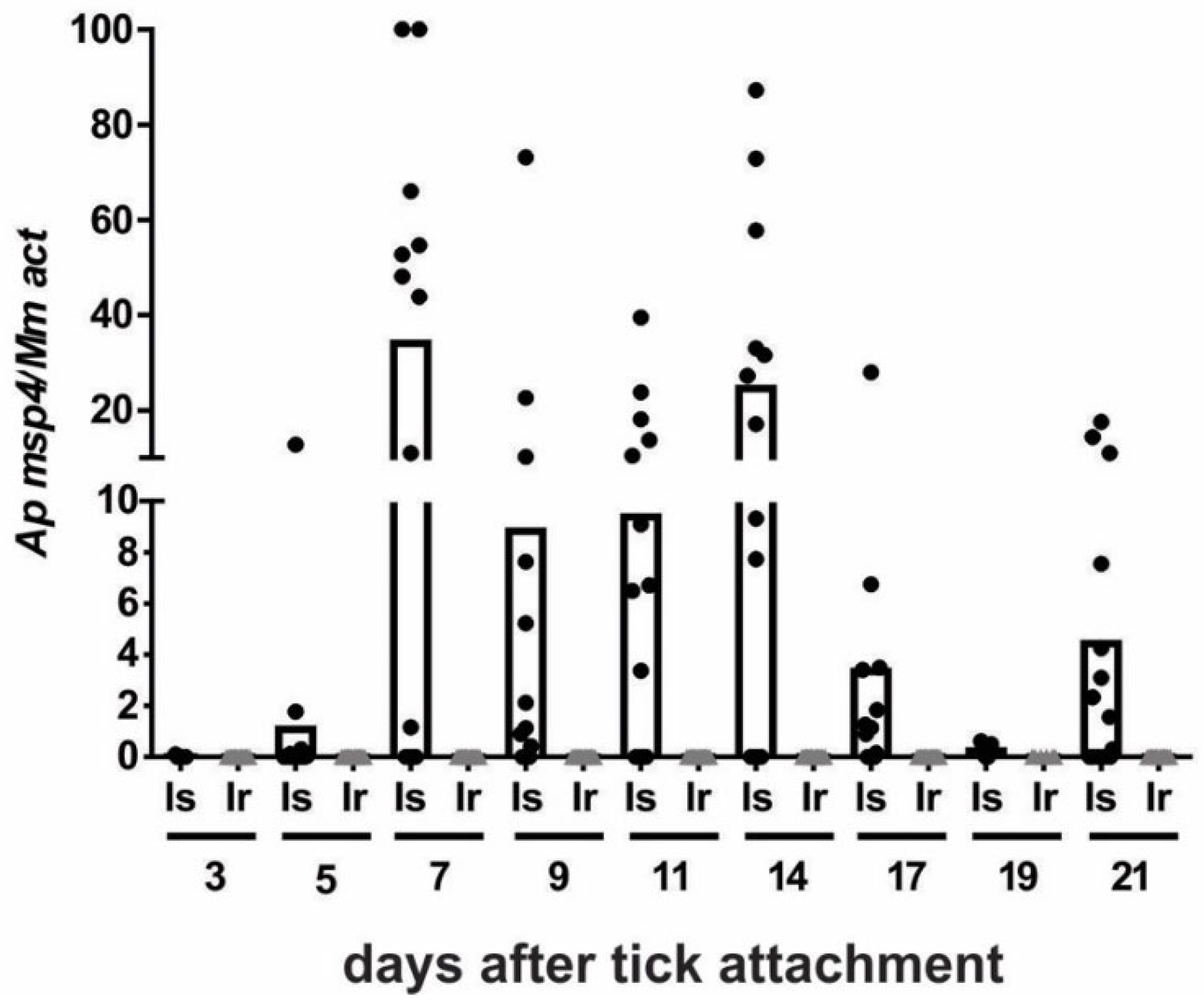 Pathogens 11 00820 g004