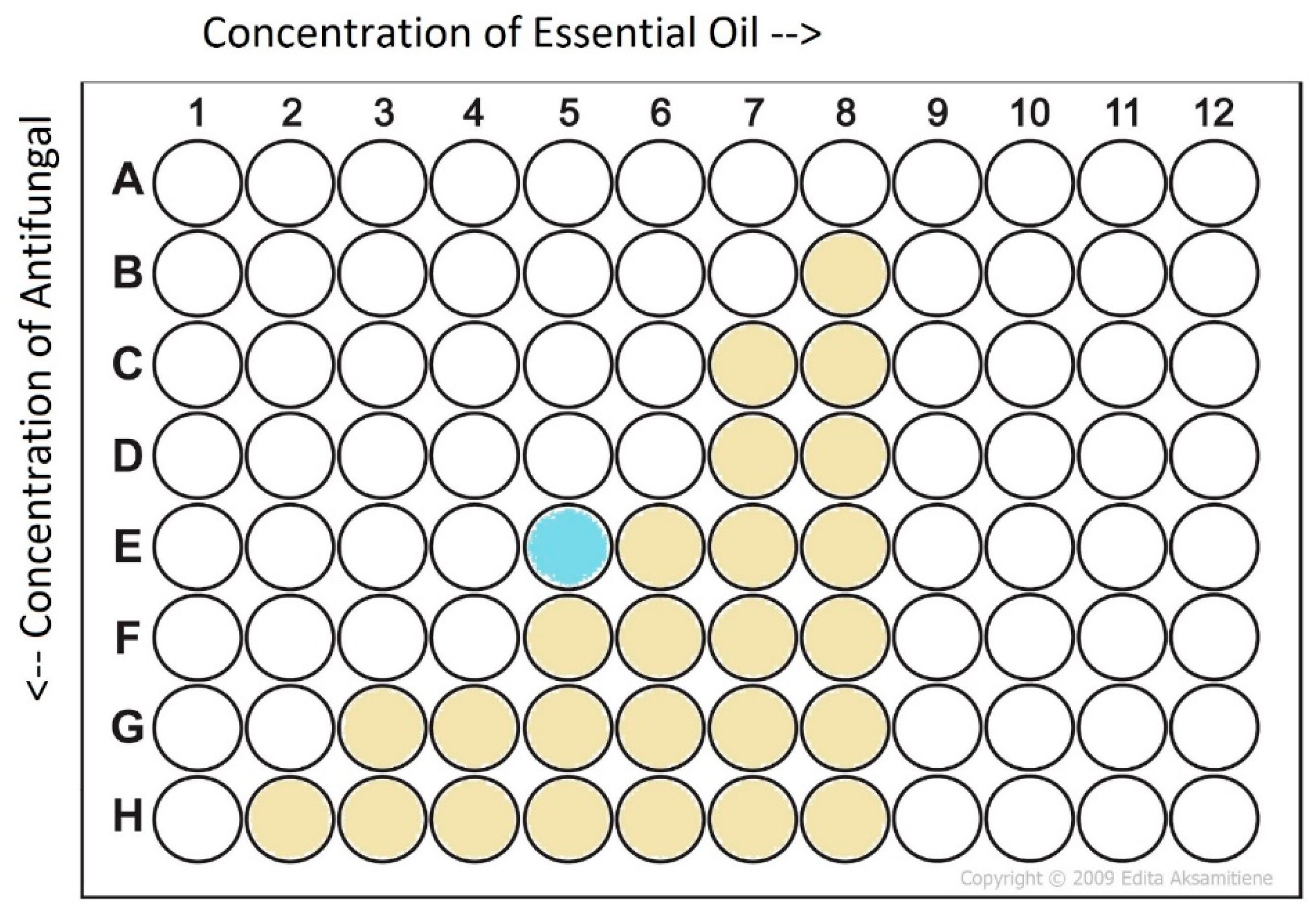Antifungal oils on sale