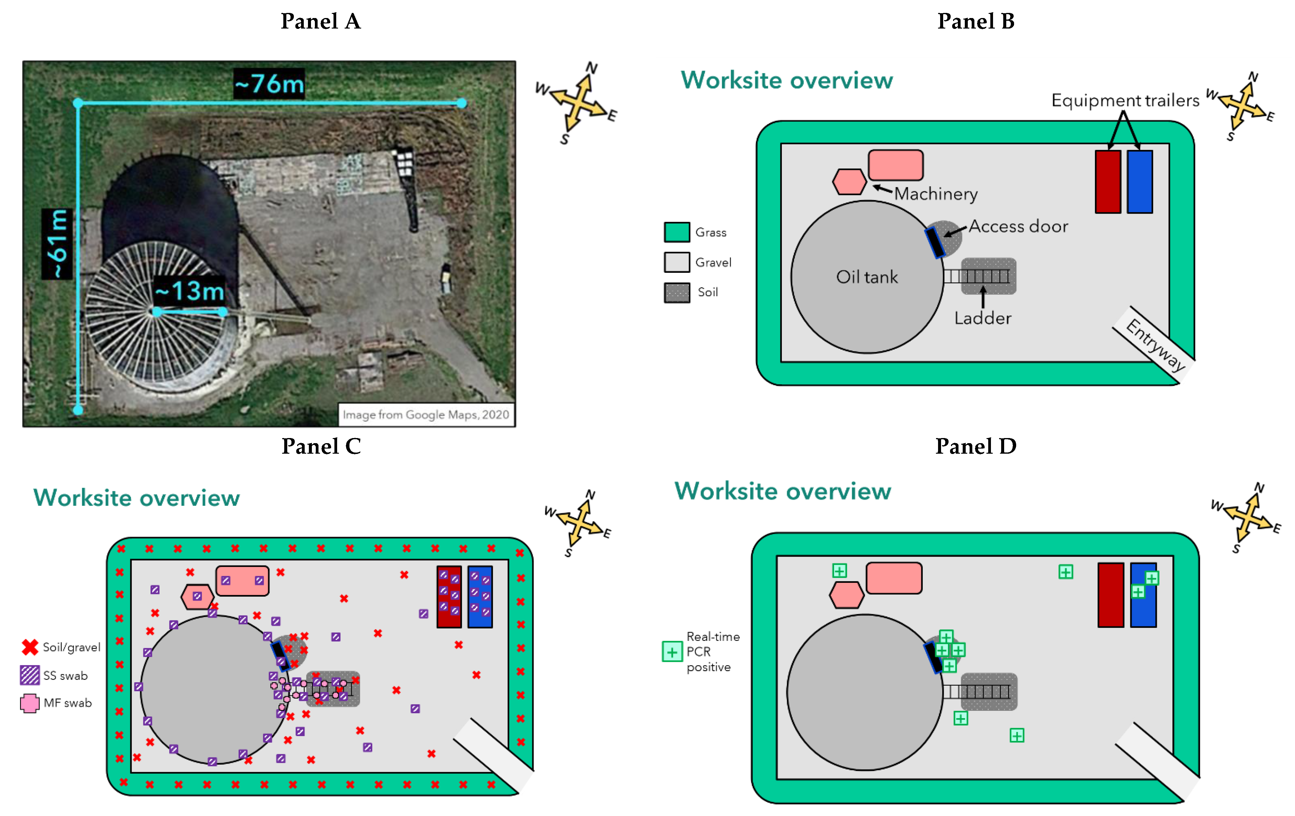 Pathogens 11 00825 g001
