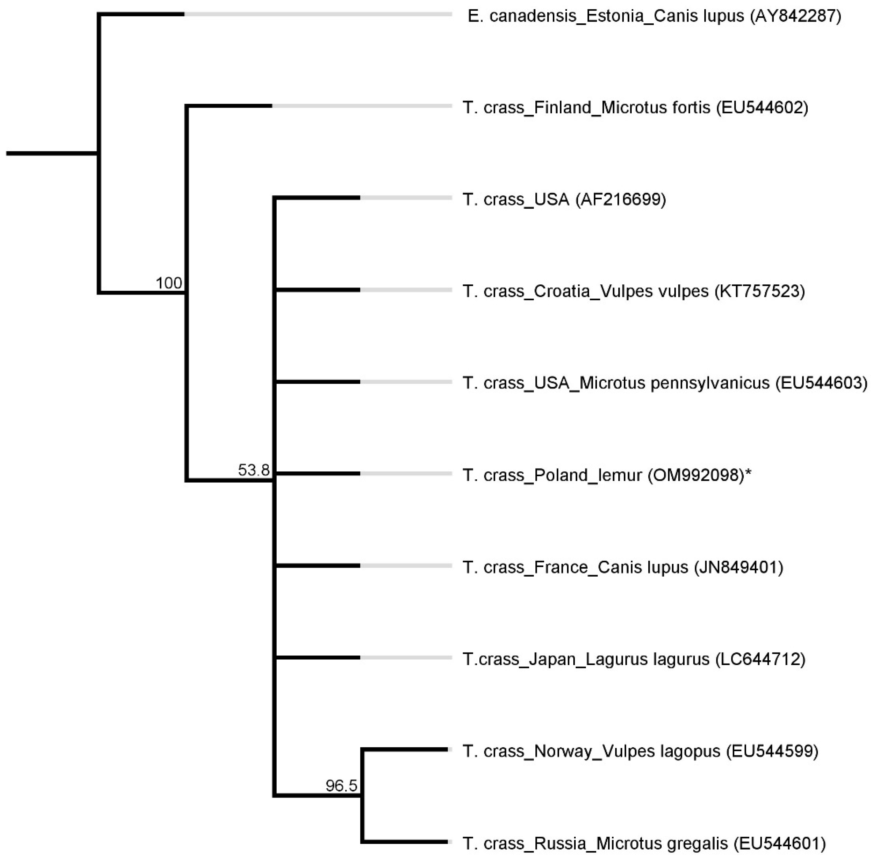 Pathogens 11 00835 g004