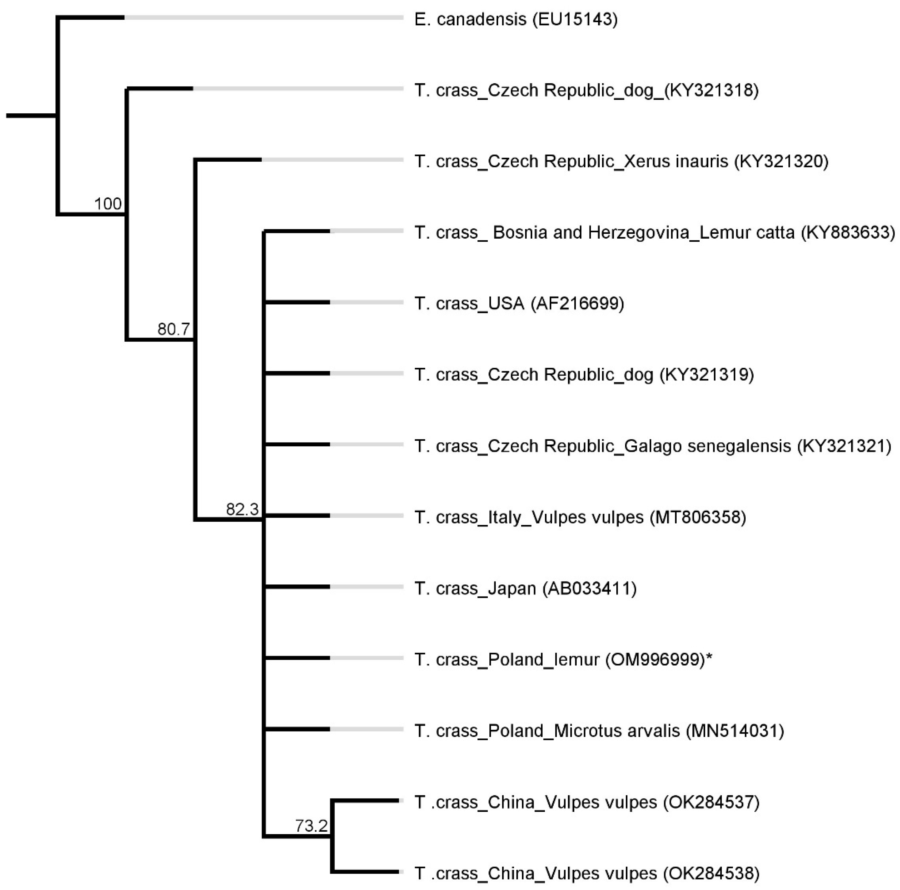 Pathogens 11 00835 g006