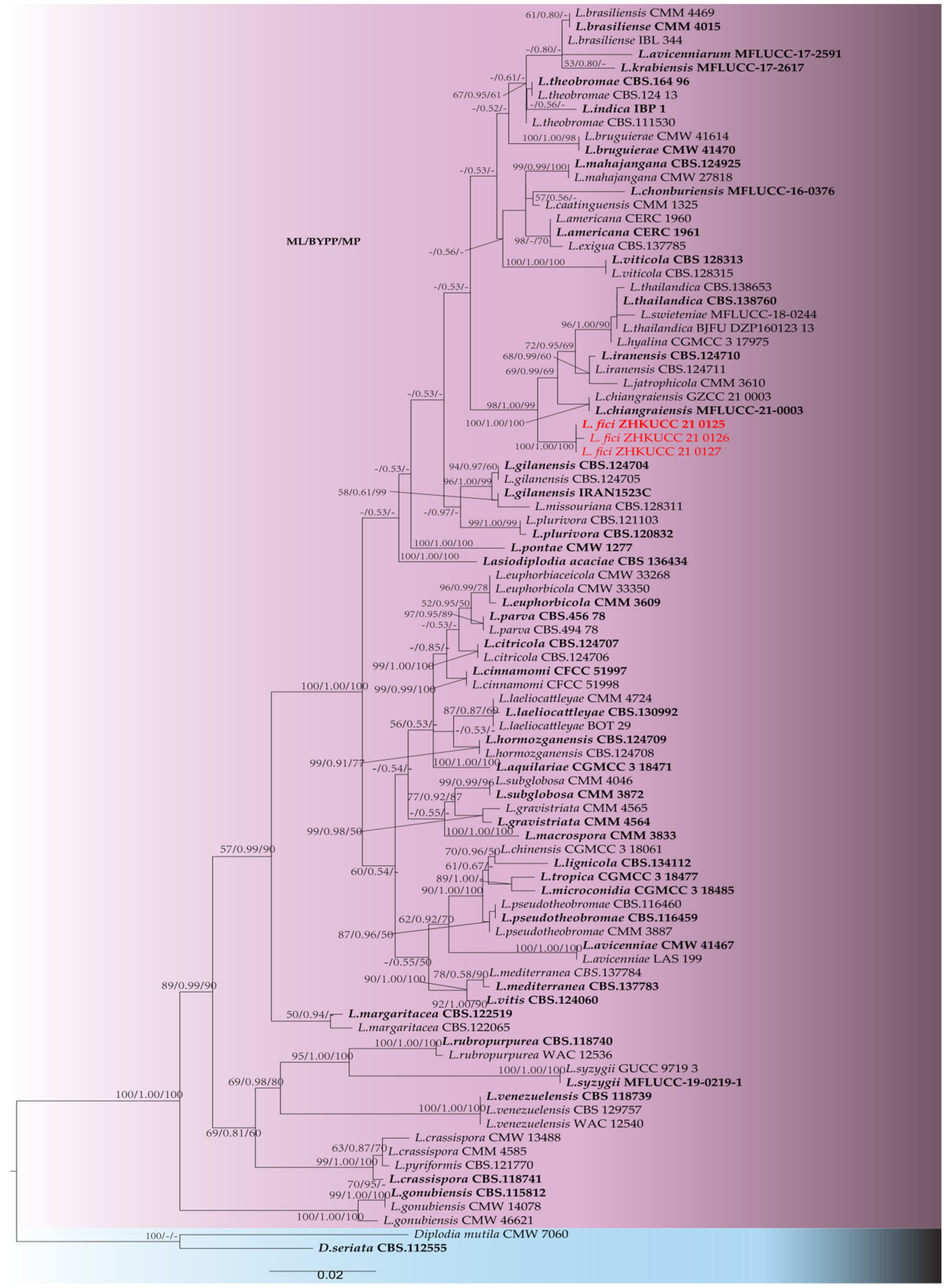 Pathogens 11 00840 g002 550