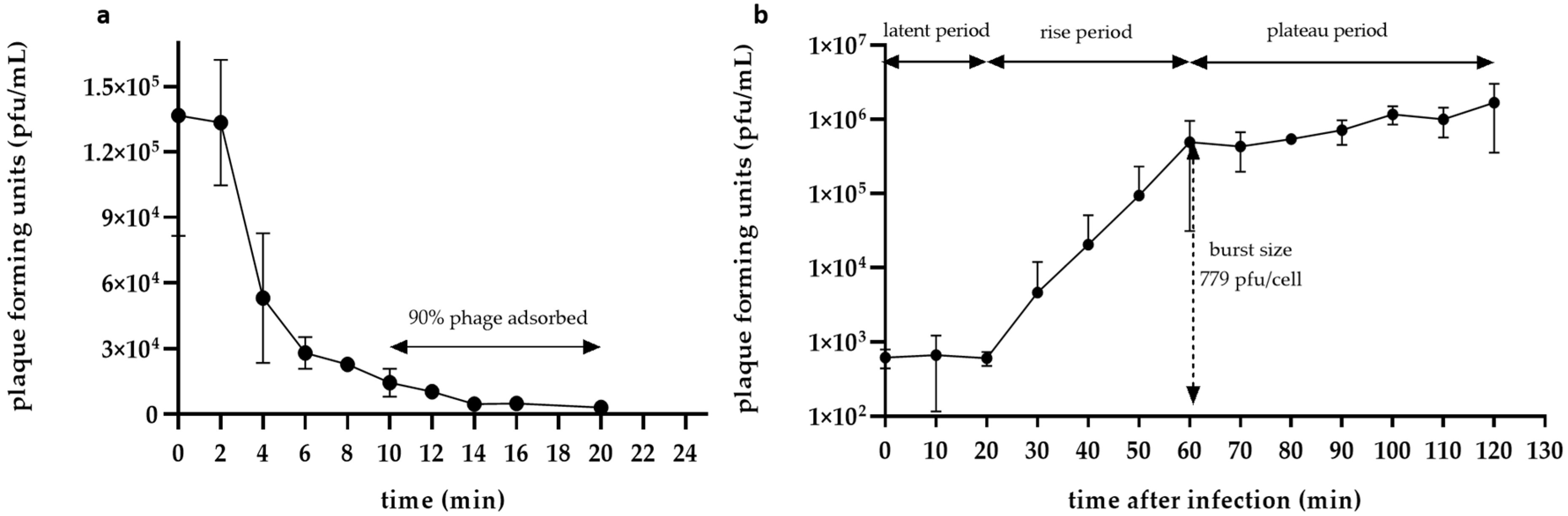Pathogens 11 00848 g004 550