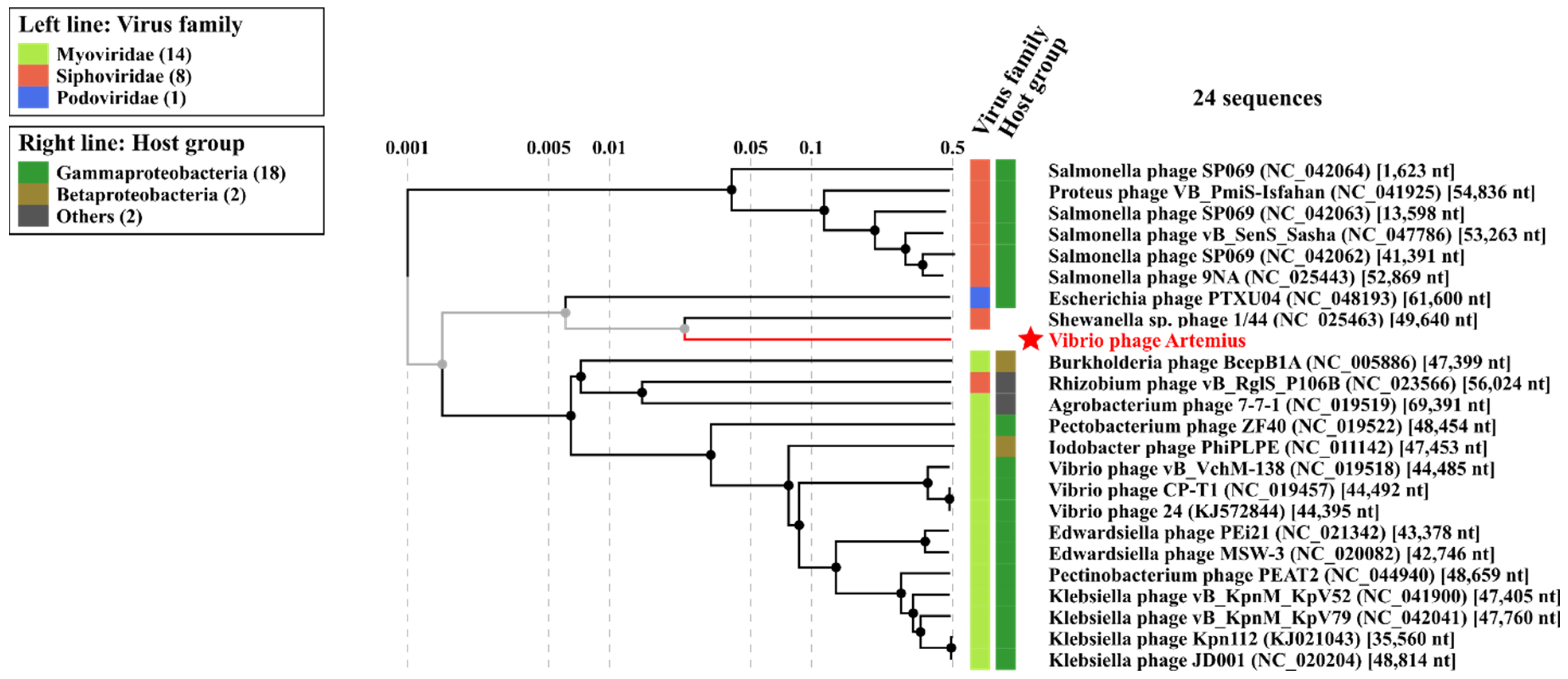 Pathogens 11 00848 g008 550