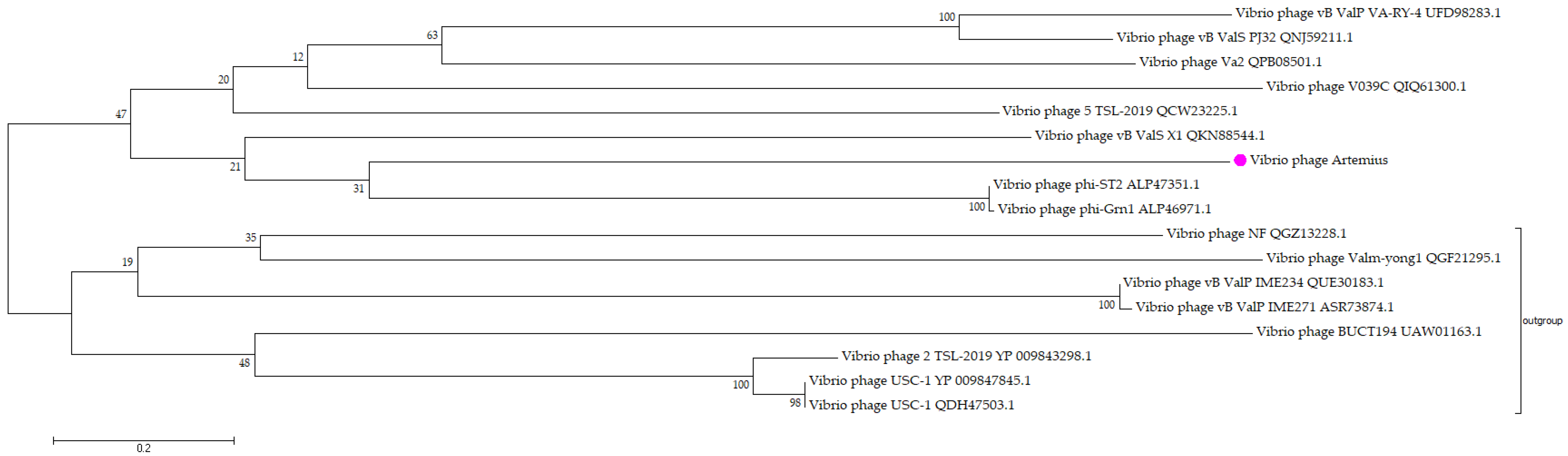 Pathogens 11 00848 g009 550