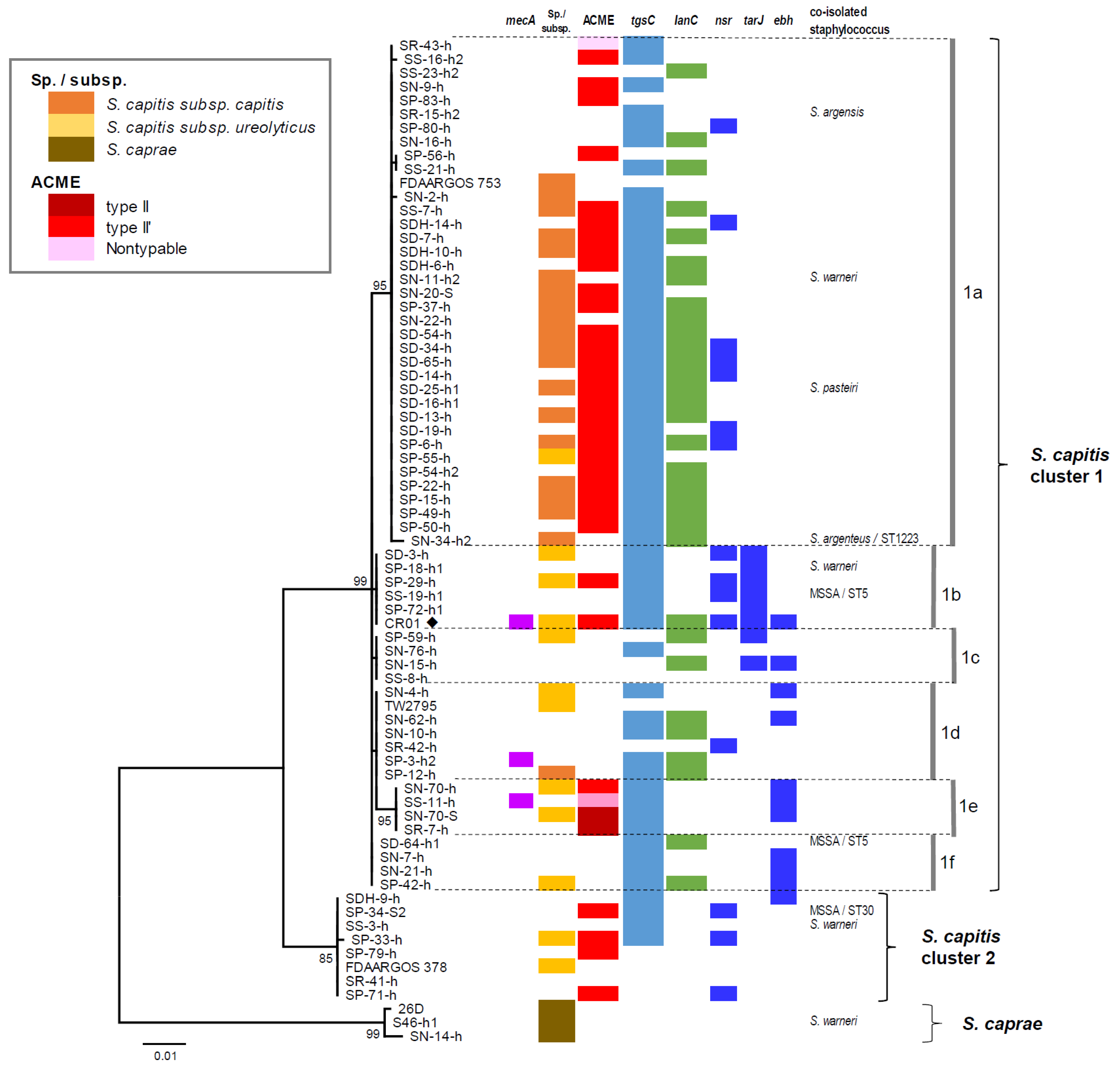Pathogens 11 00849 g001 Pathogens 11 00849 g001