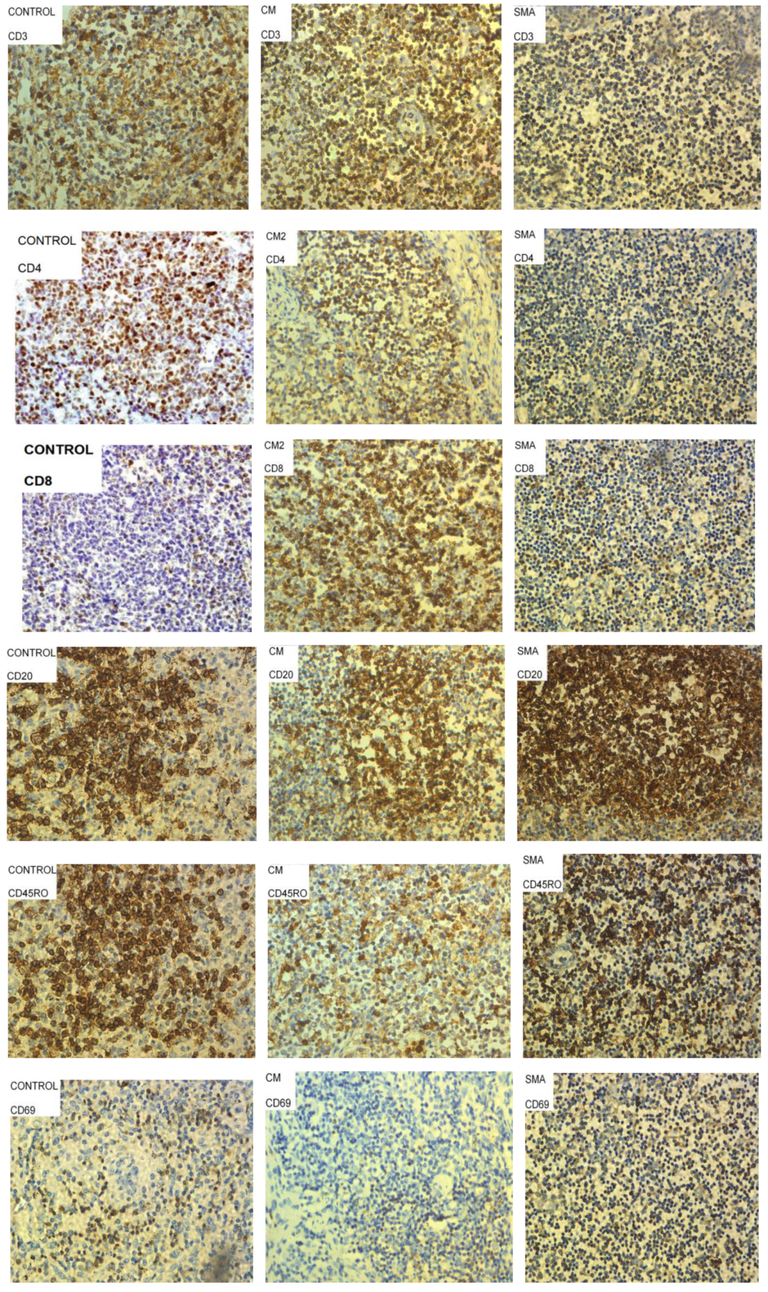Pathogens 11 00851 g002 Pathogens 11 00851 g002