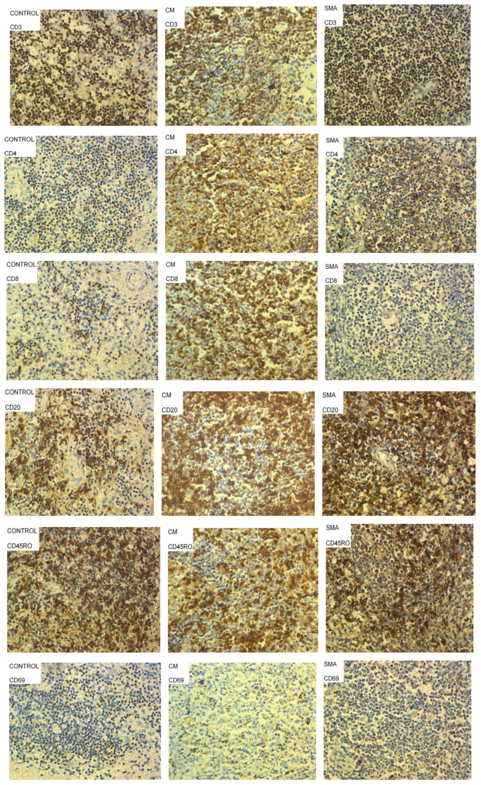 Pathogens 11 00851 g004 Pathogens 11 00851 g004