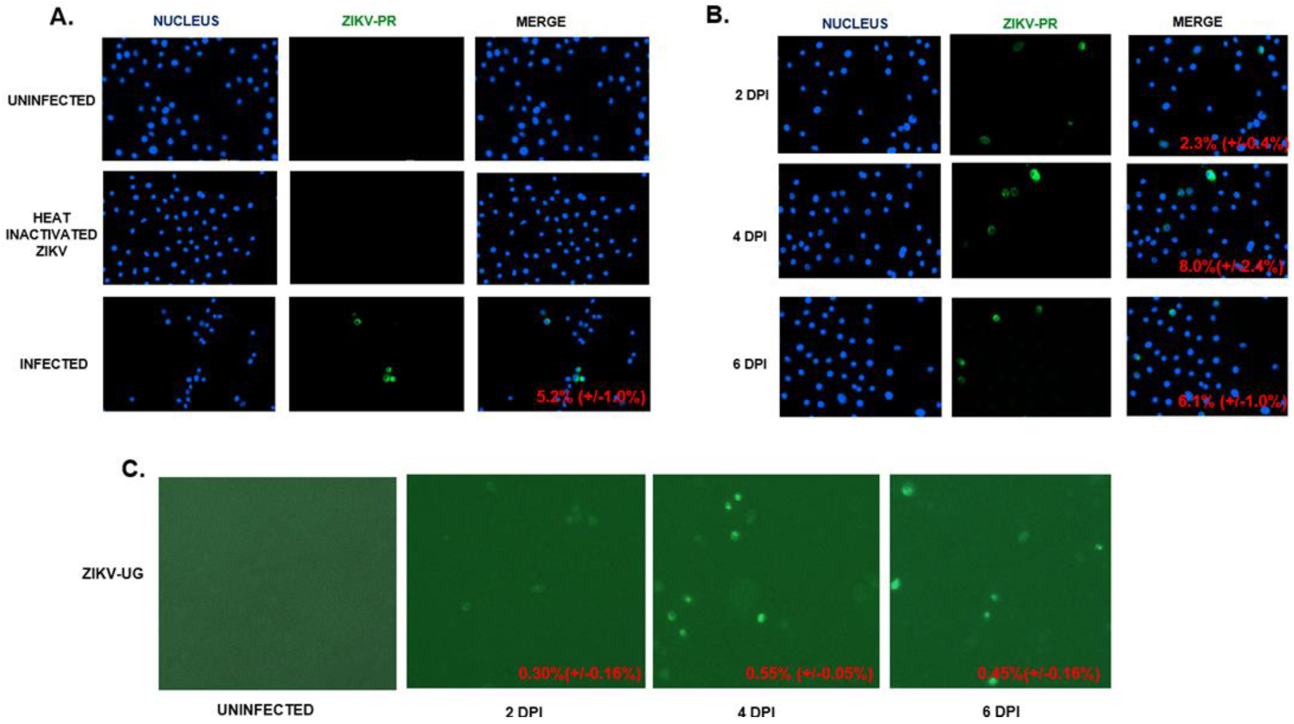 Pathogens 11 00853 g002 Pathogens 11 00853 g002