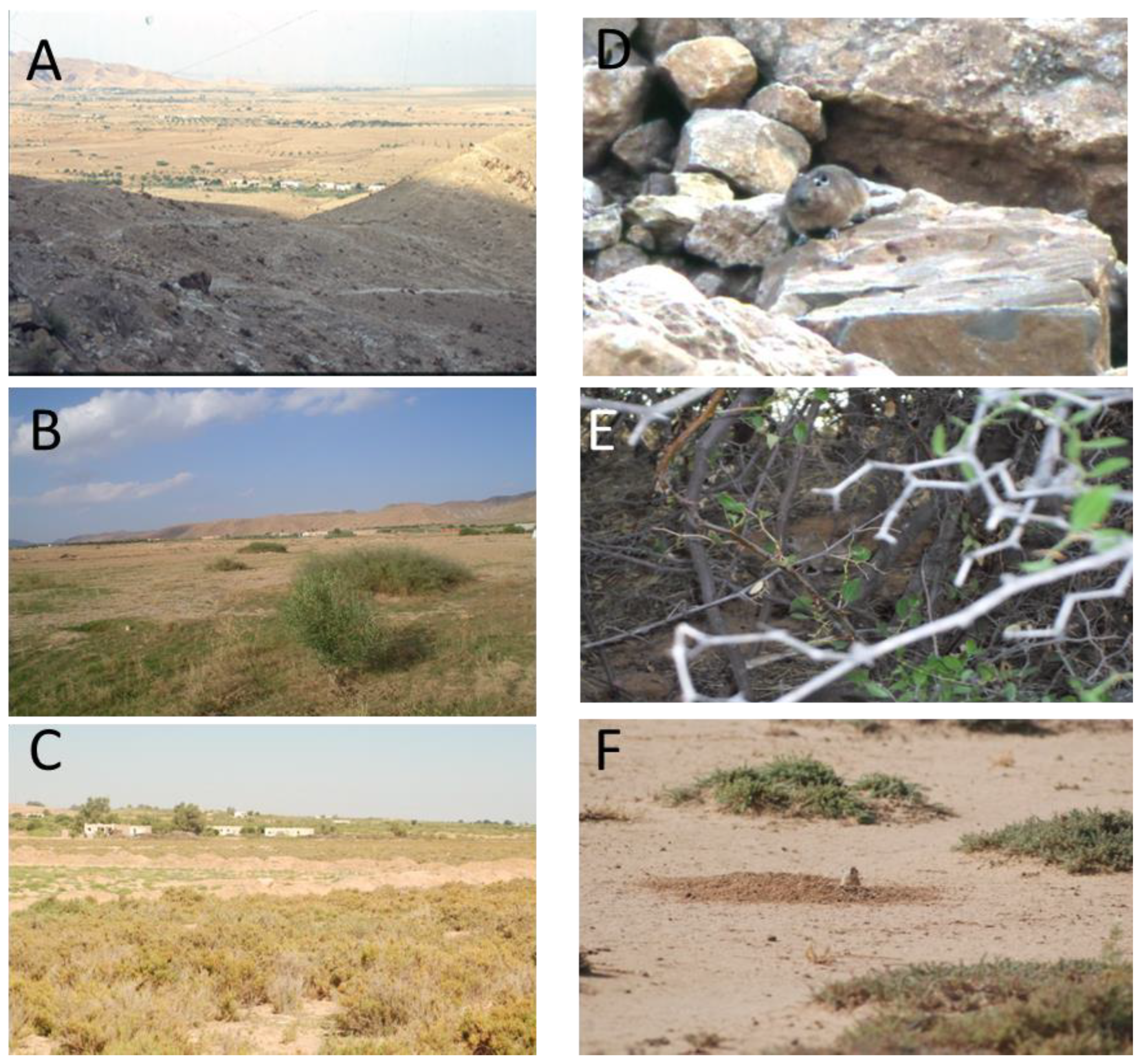 Pathogens 11 00855 g002 Pathogens 11 00855 g002