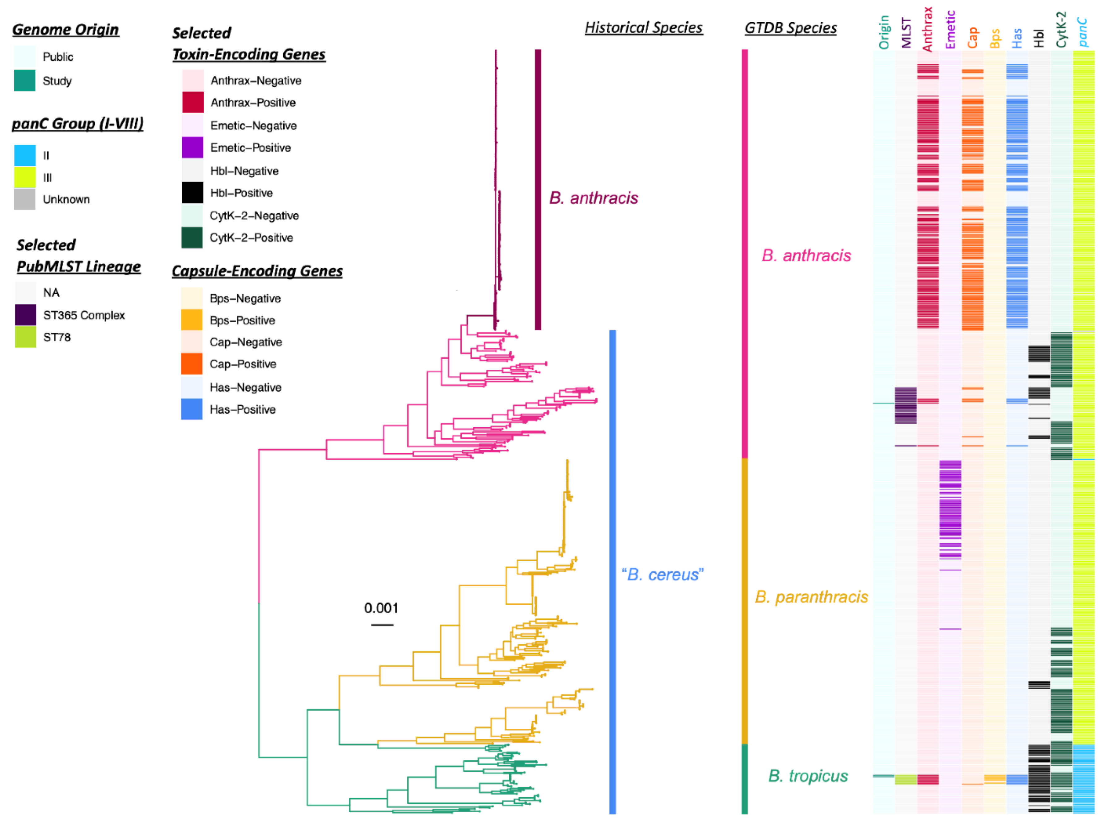 Pathogens 11 00856 g001 Pathogens 11 00856 g001
