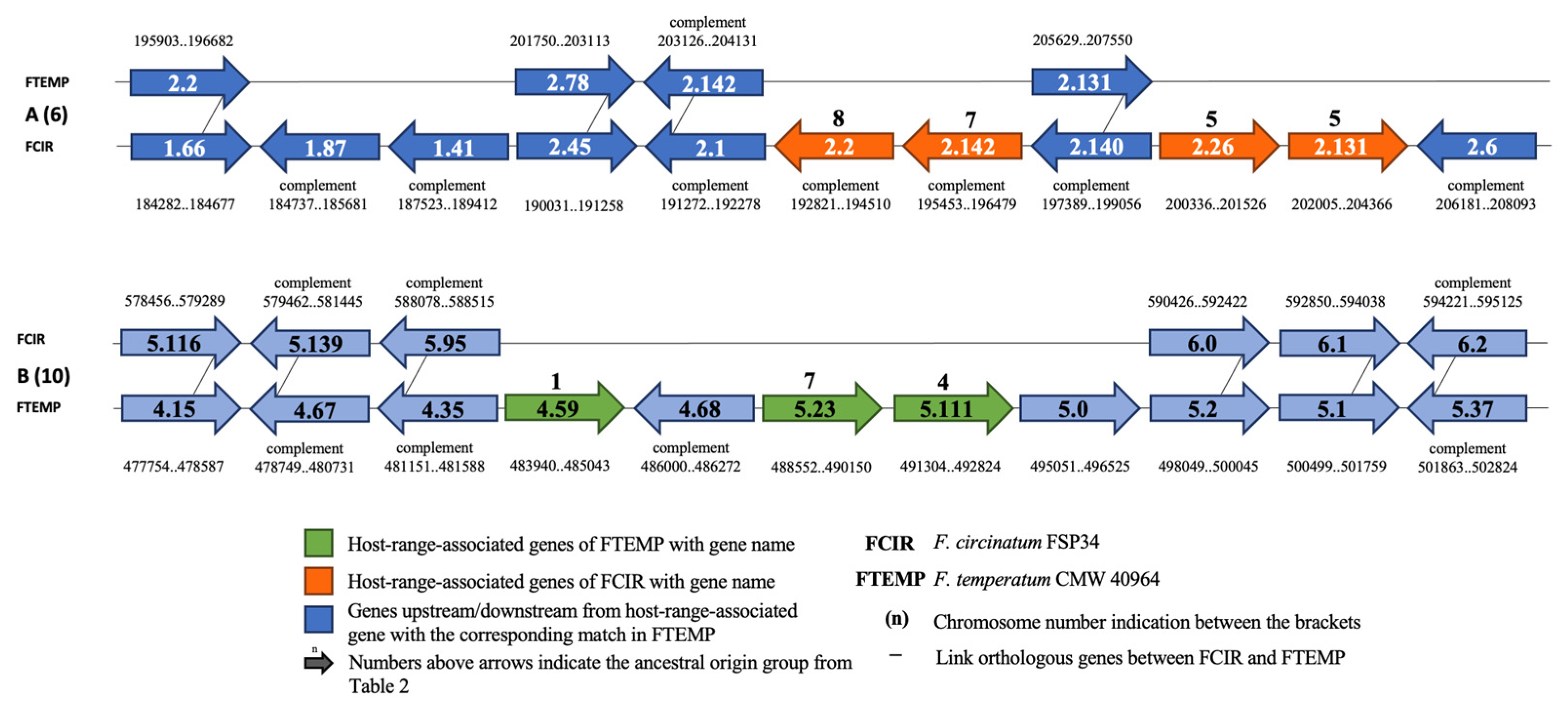 Pathogens 11 00858 g003 Pathogens 11 00858 g003