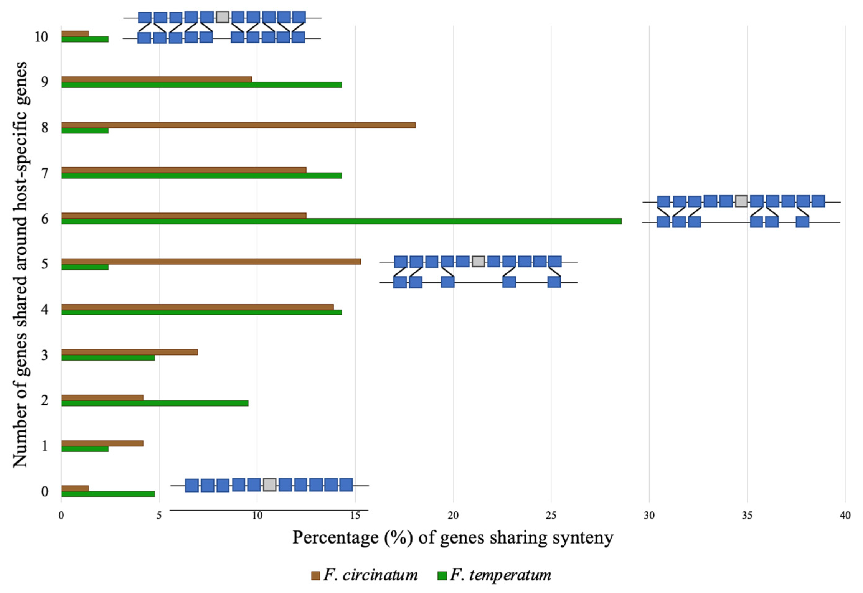 Pathogens 11 00858 g004 Pathogens 11 00858 g004