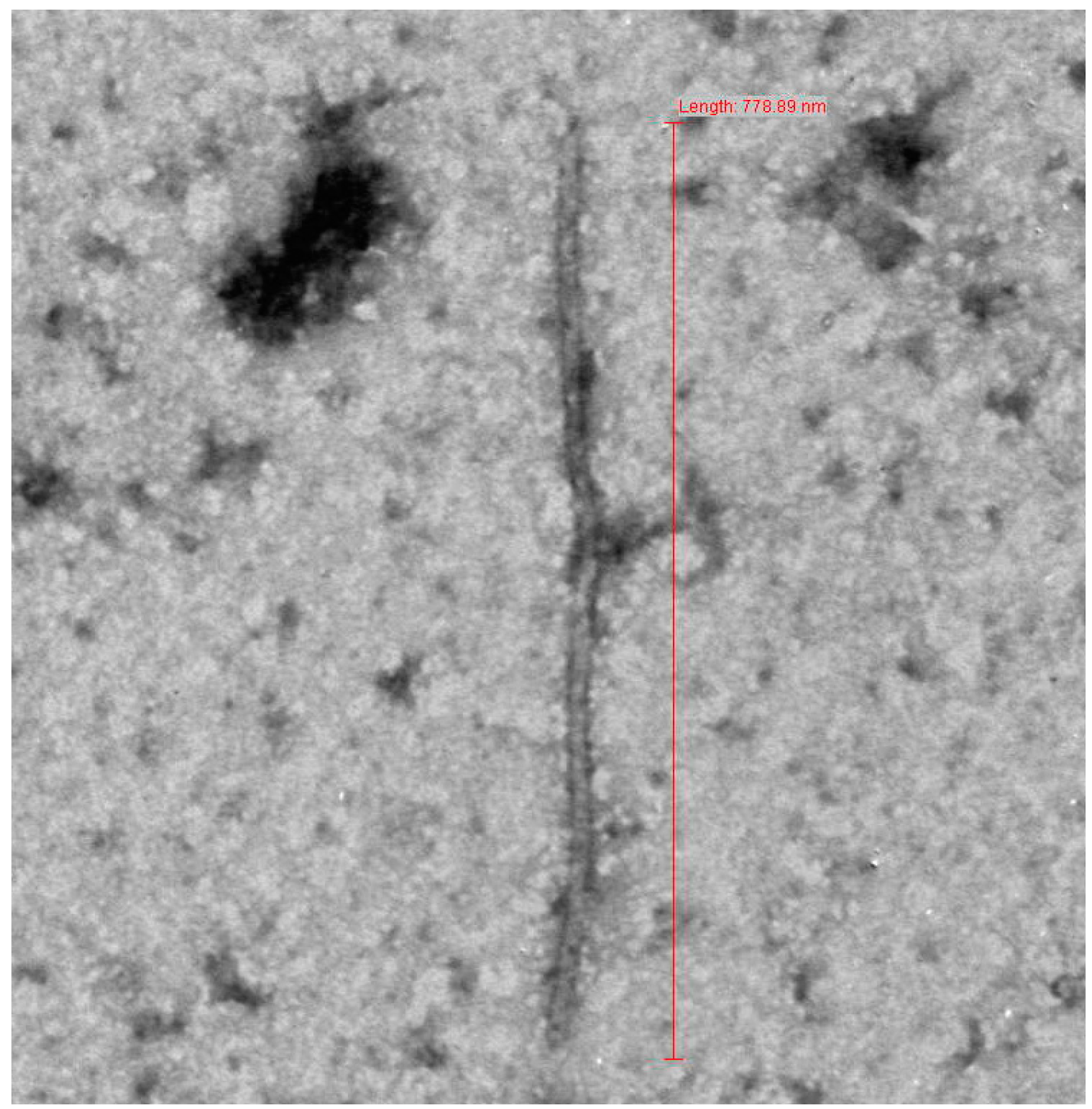 Pathogens 11 00861 g001 550