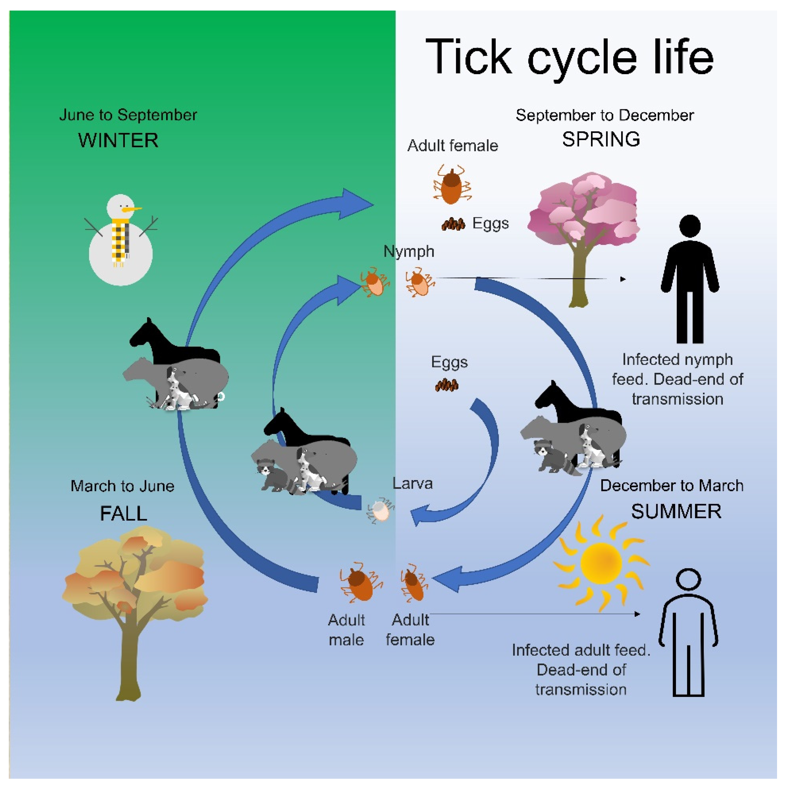 Pathogens 11 00870 g001 Pathogens 11 00870 g001