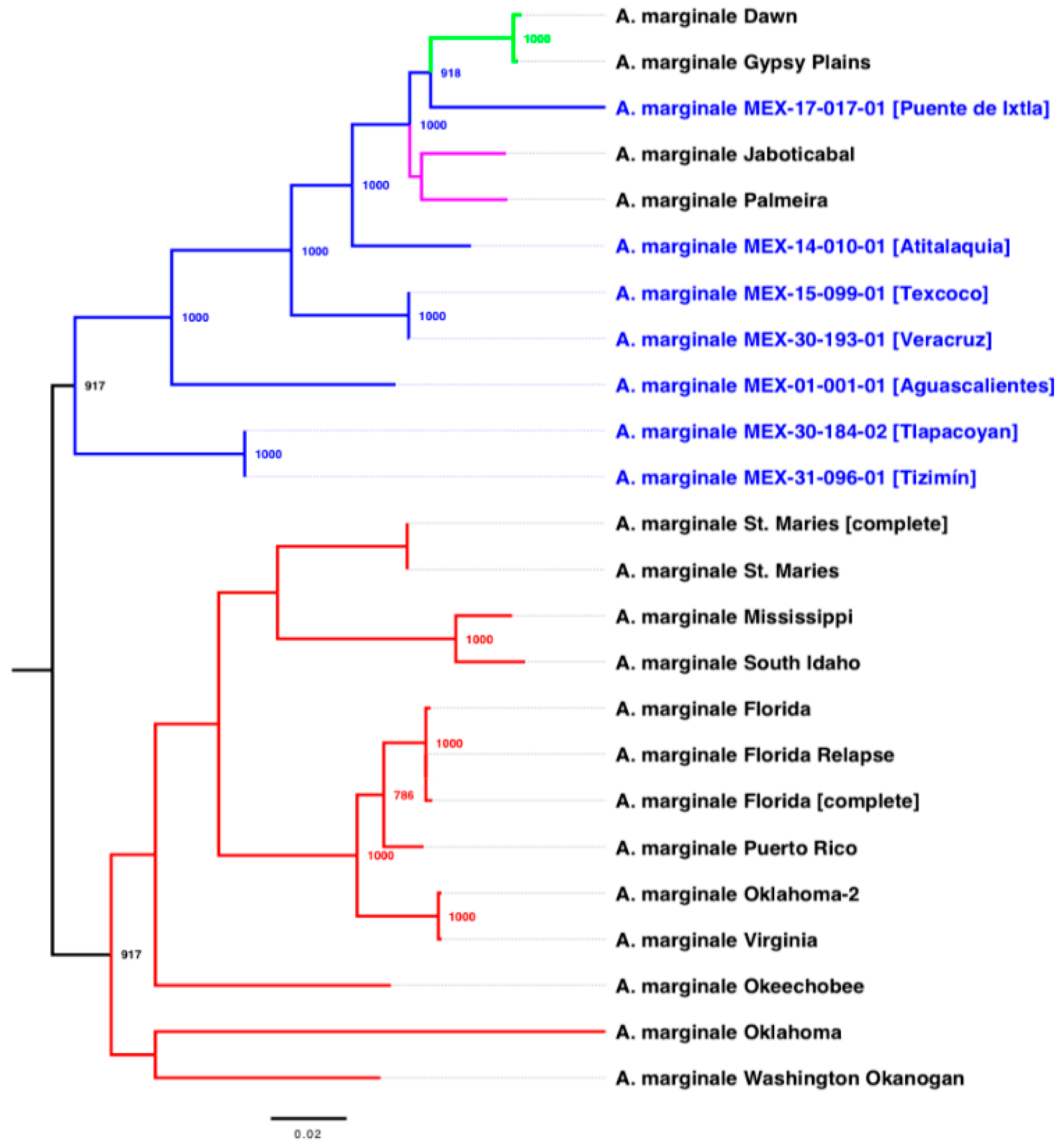 Pathogens 11 00873 g001