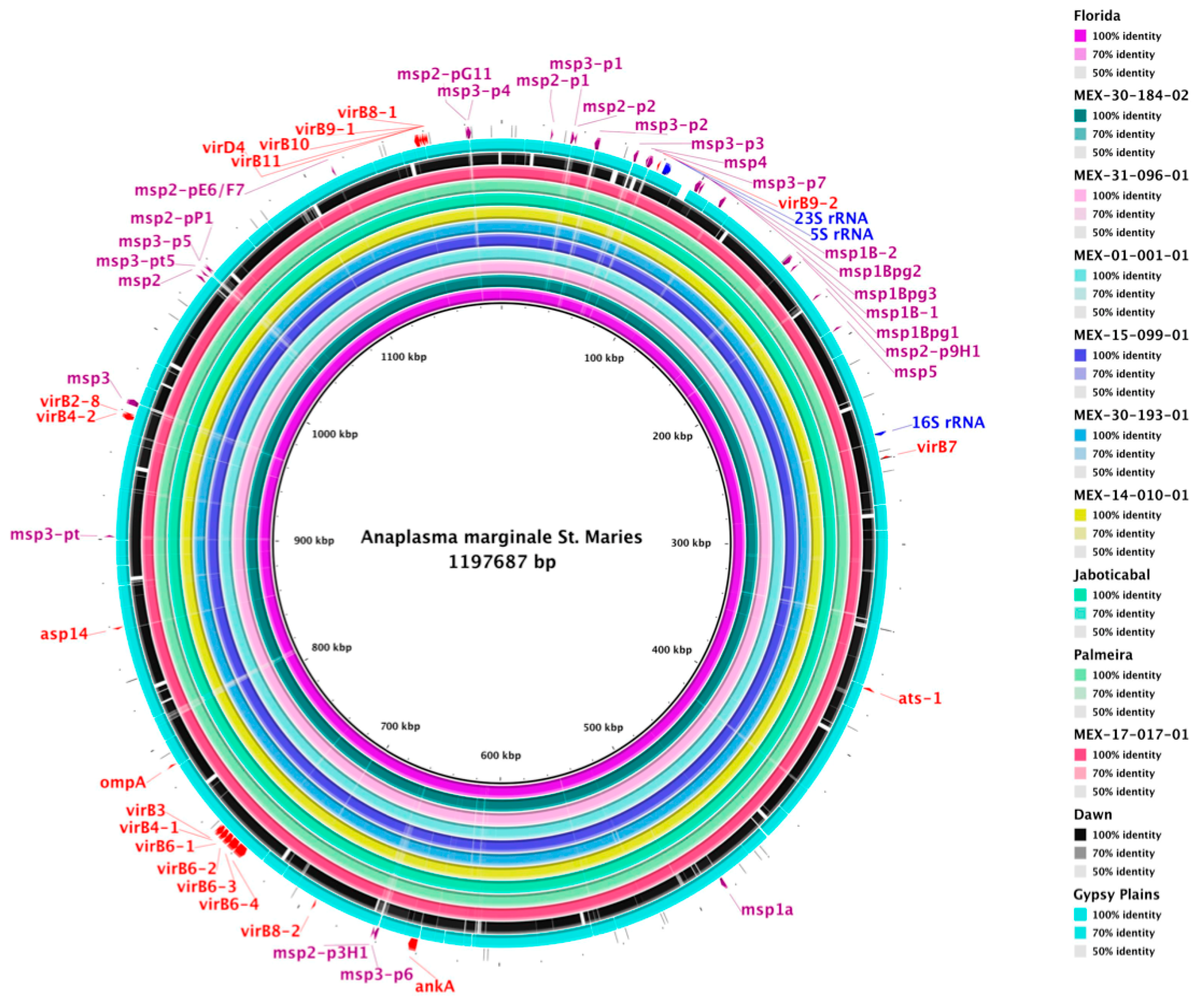Pathogens 11 00873 g004