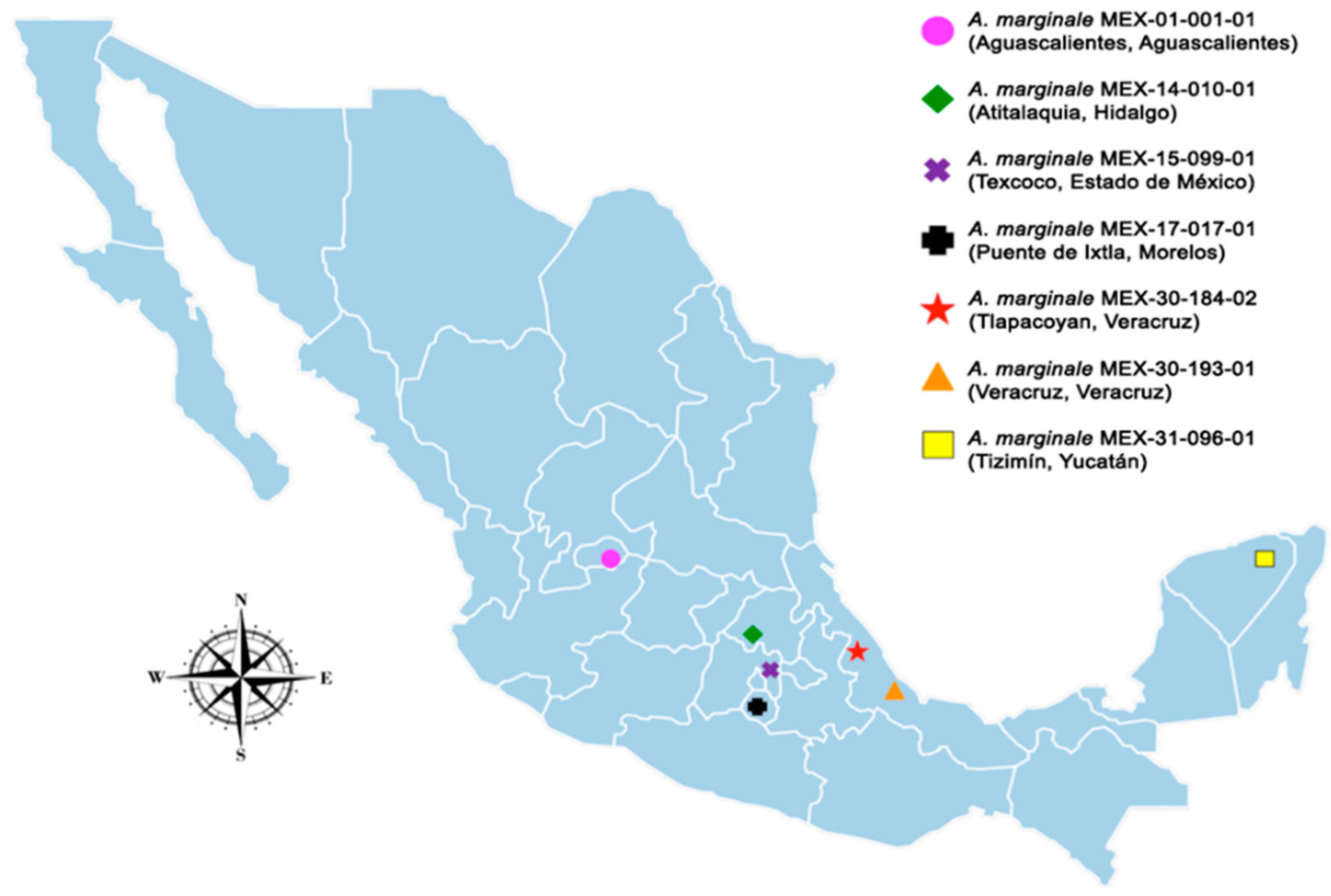 Pathogens 11 00873 g005