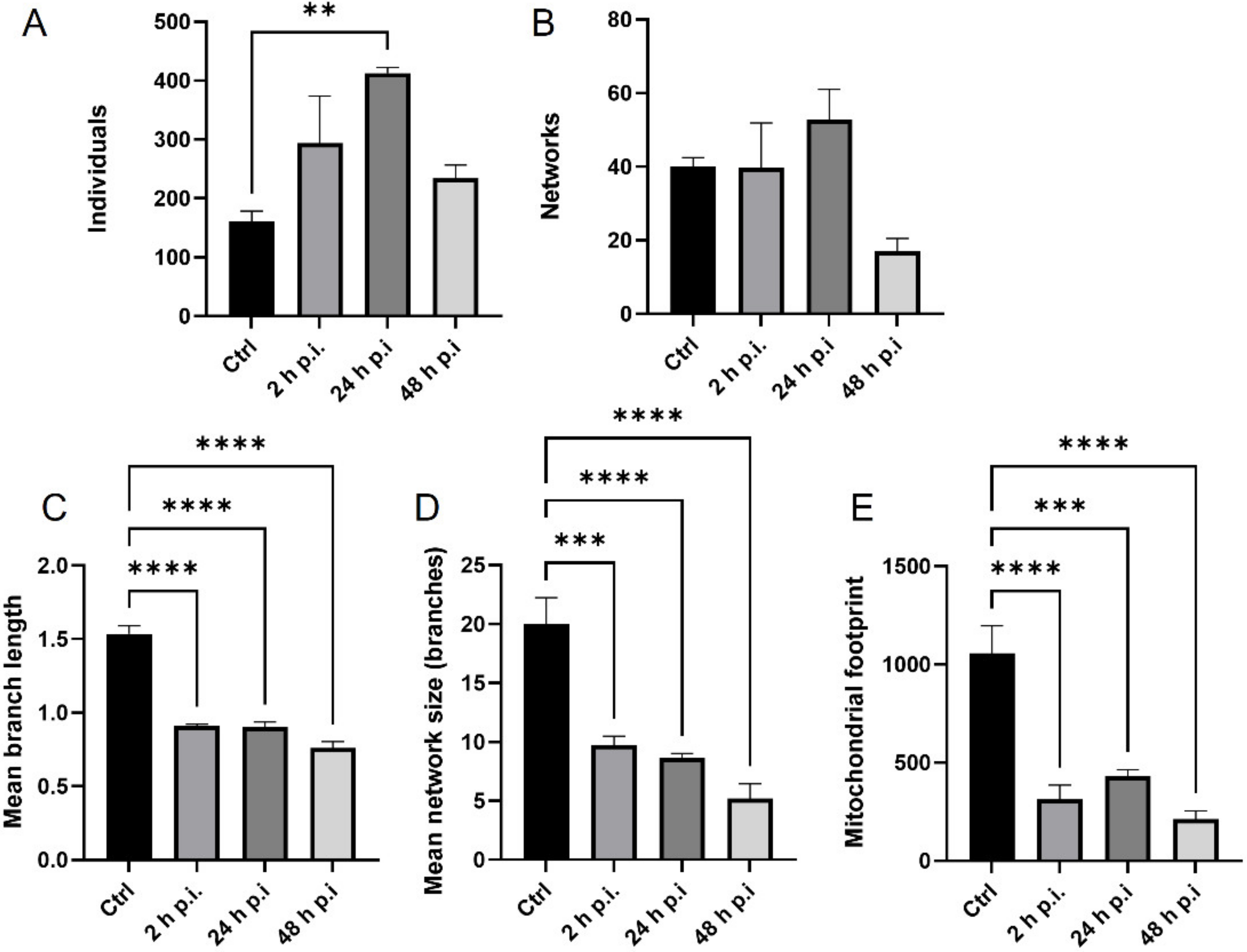 Pathogens 11 00876 g006