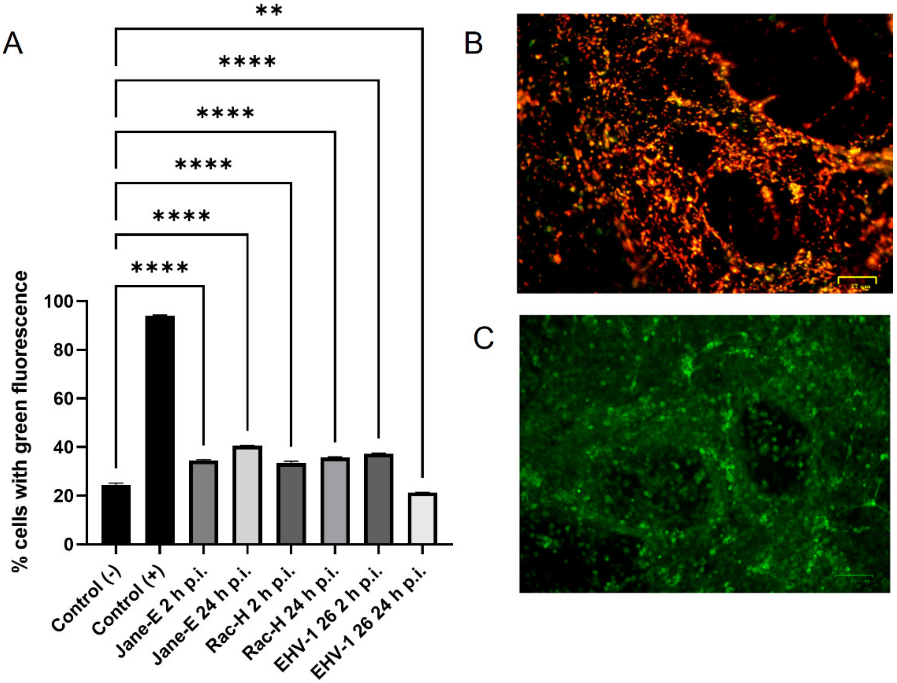 Pathogens 11 00876 g011
