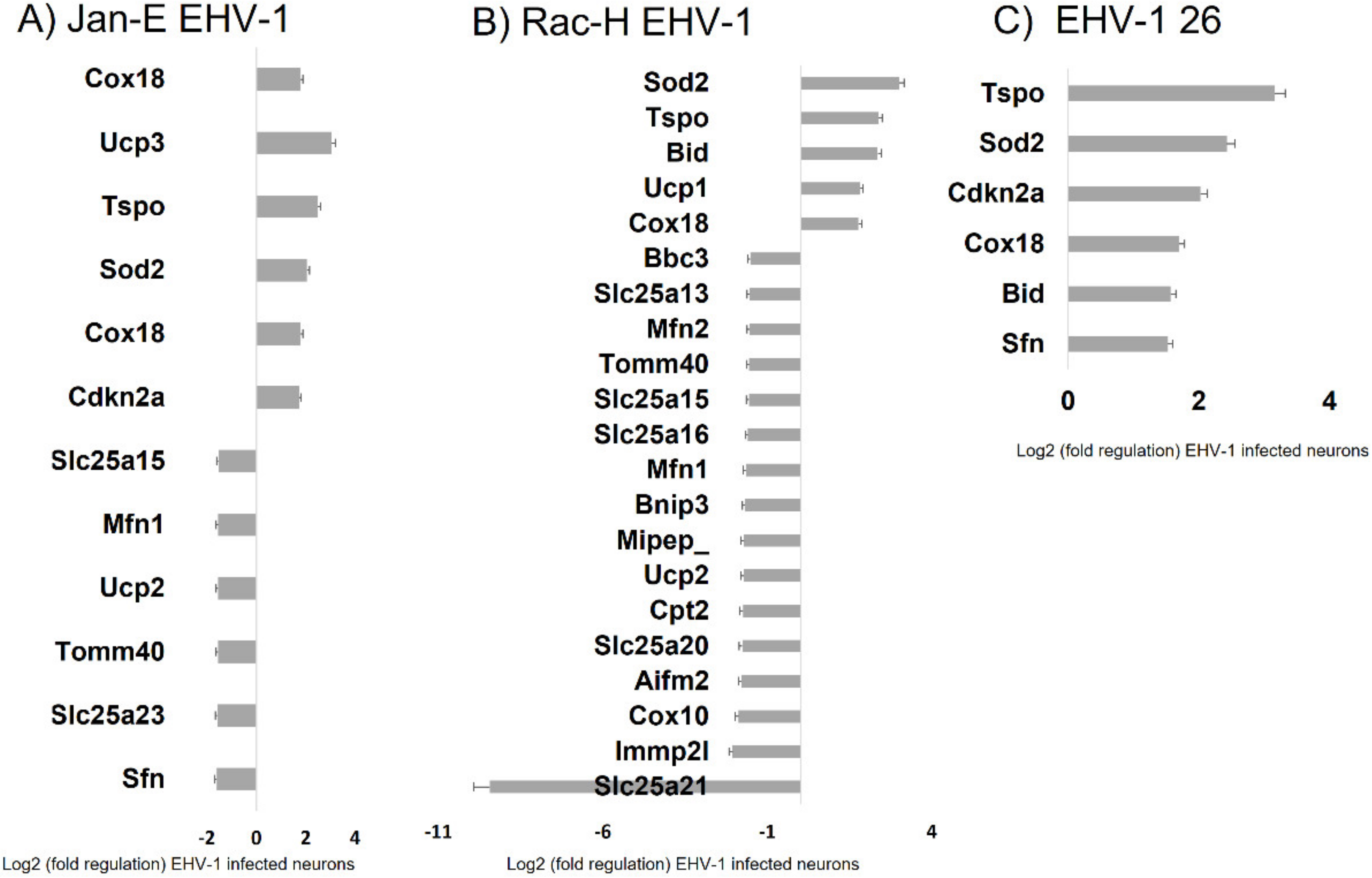 Pathogens 11 00876 g013