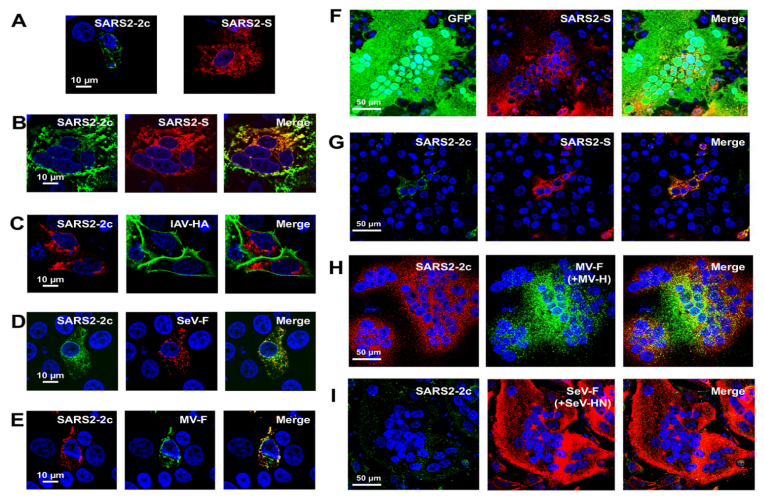 Pathogens 11 00877 g003