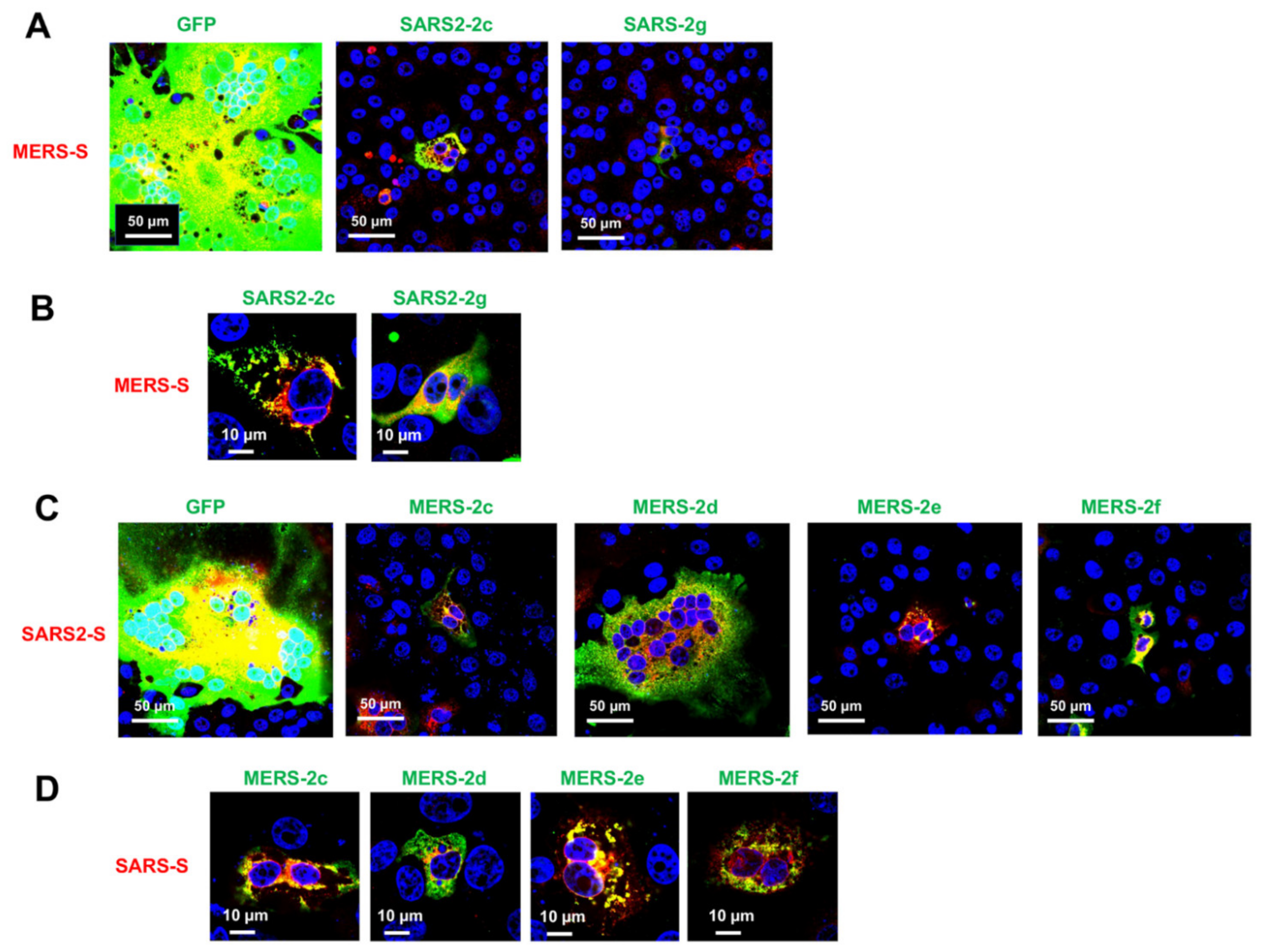 Pathogens 11 00877 g006