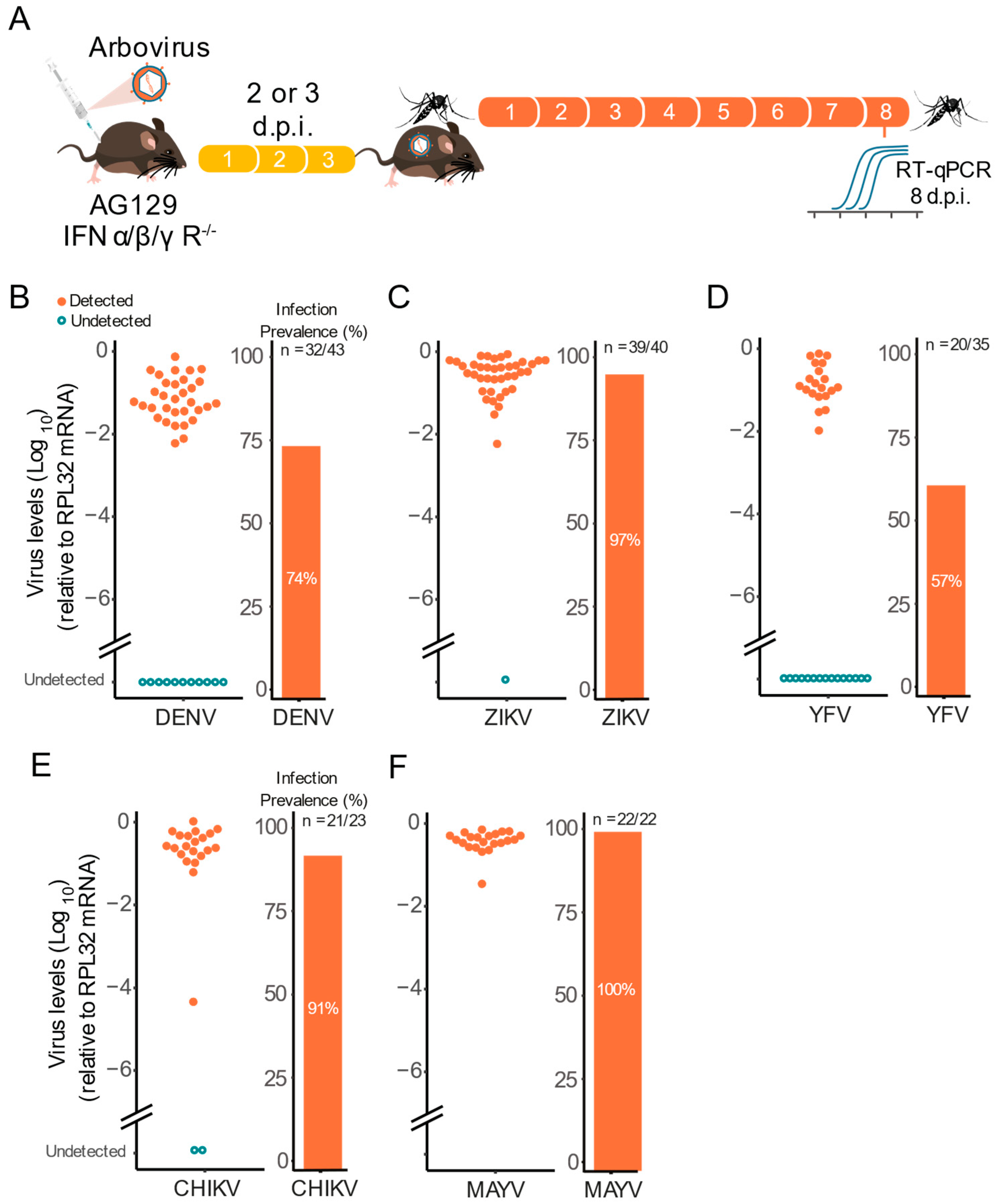 Pathogens 11 00879 g004