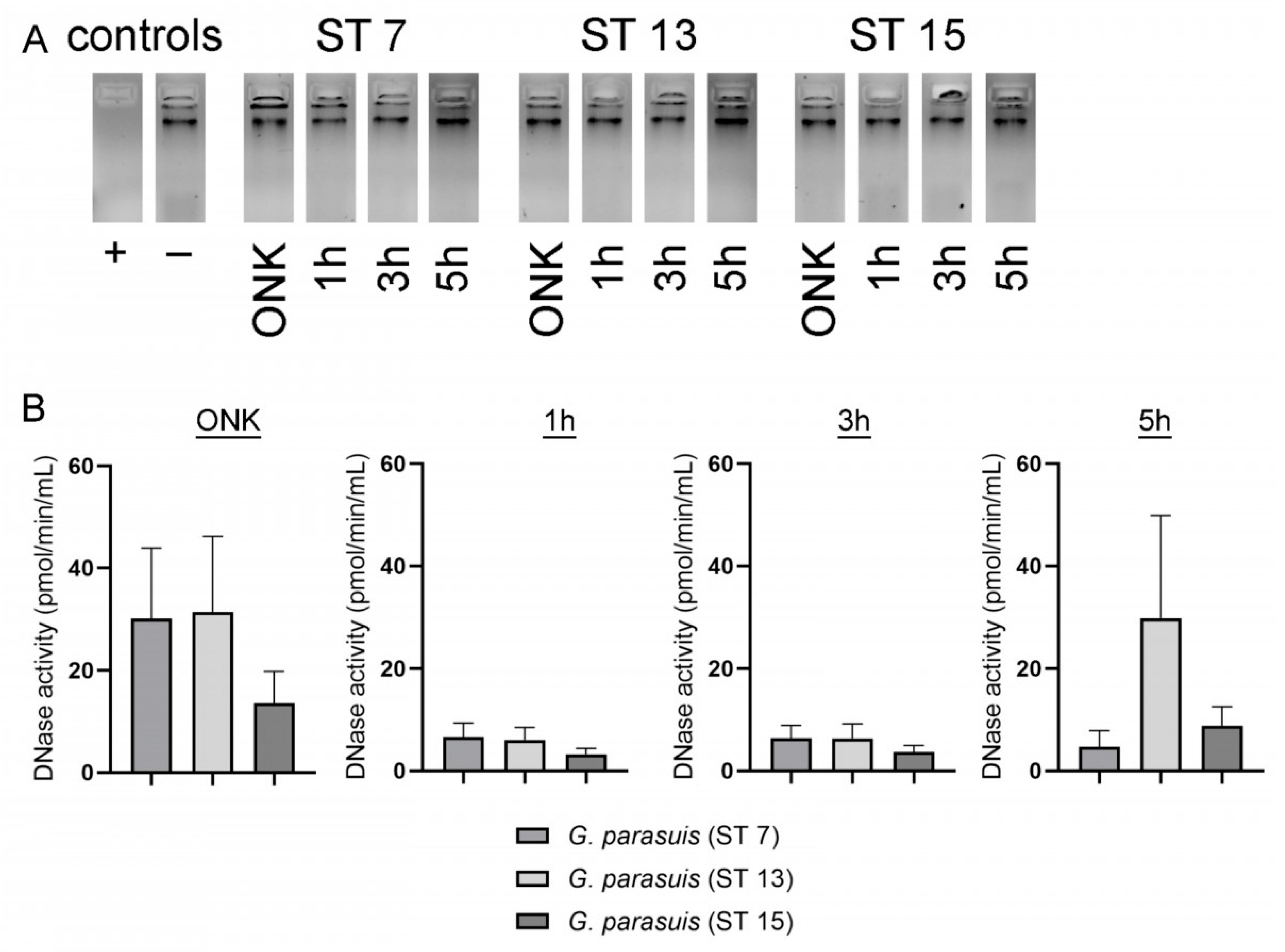 Pathogens 11 00880 g003 Pathogens 11 00880 g003