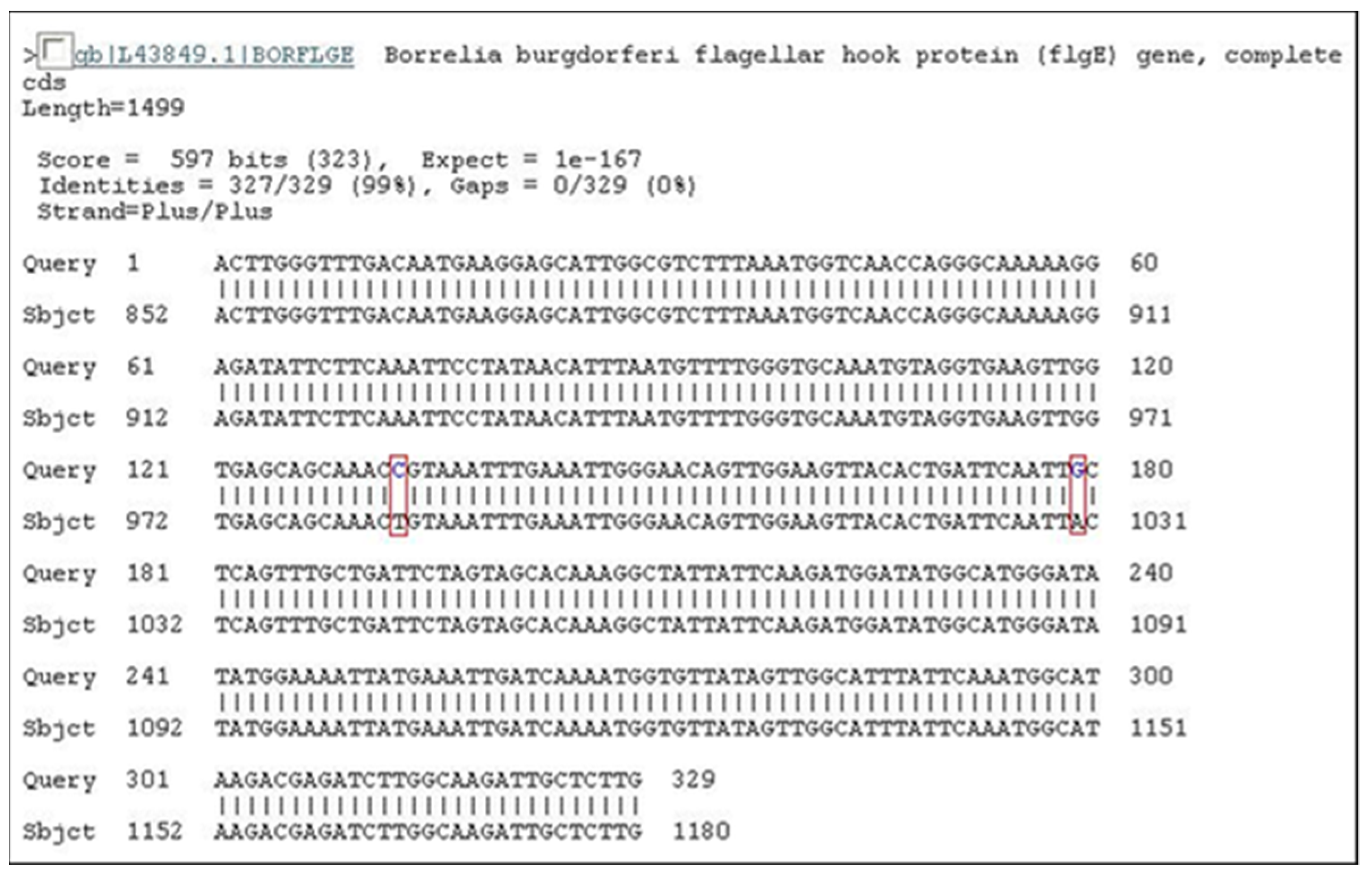 Pathogens 11 00889 g006 Pathogens 11 00889 g006
