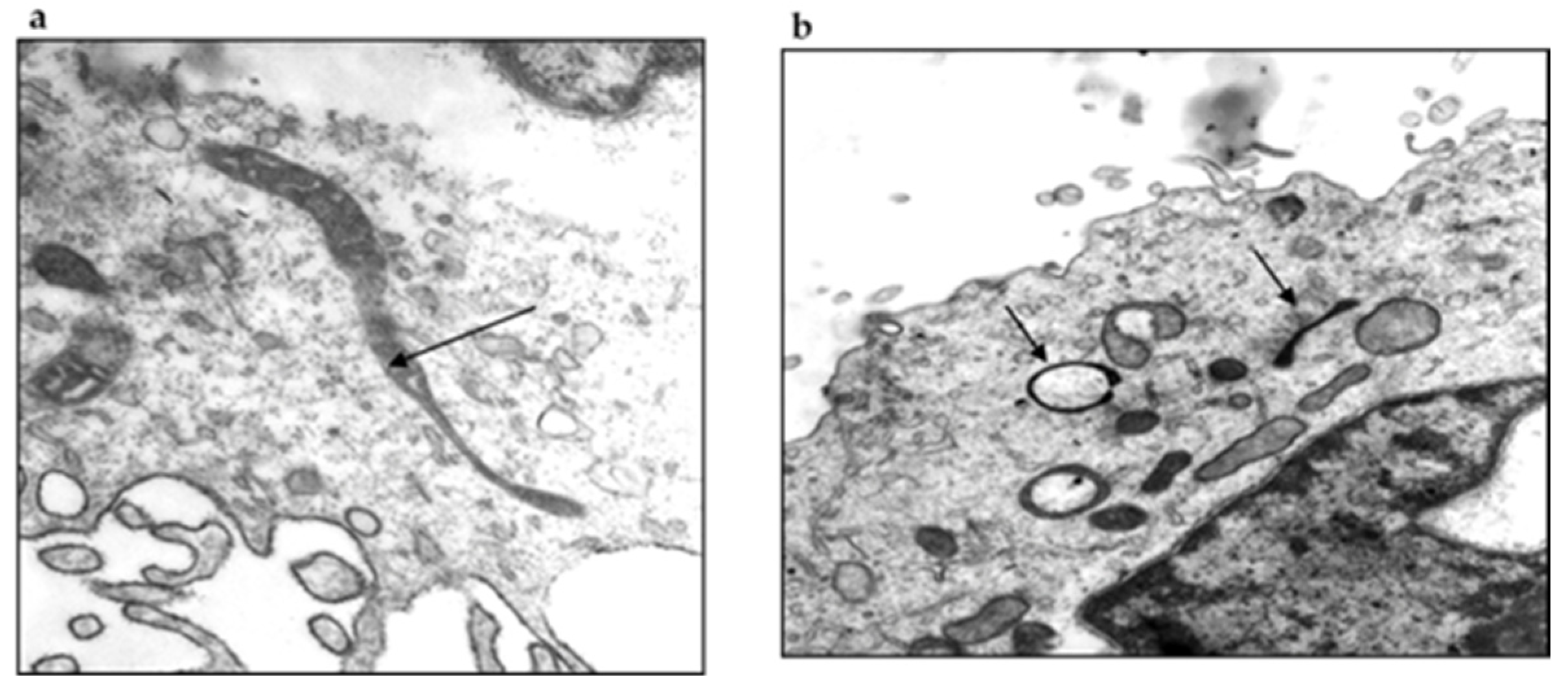 Pathogens 11 00889 g010 Pathogens 11 00889 g010
