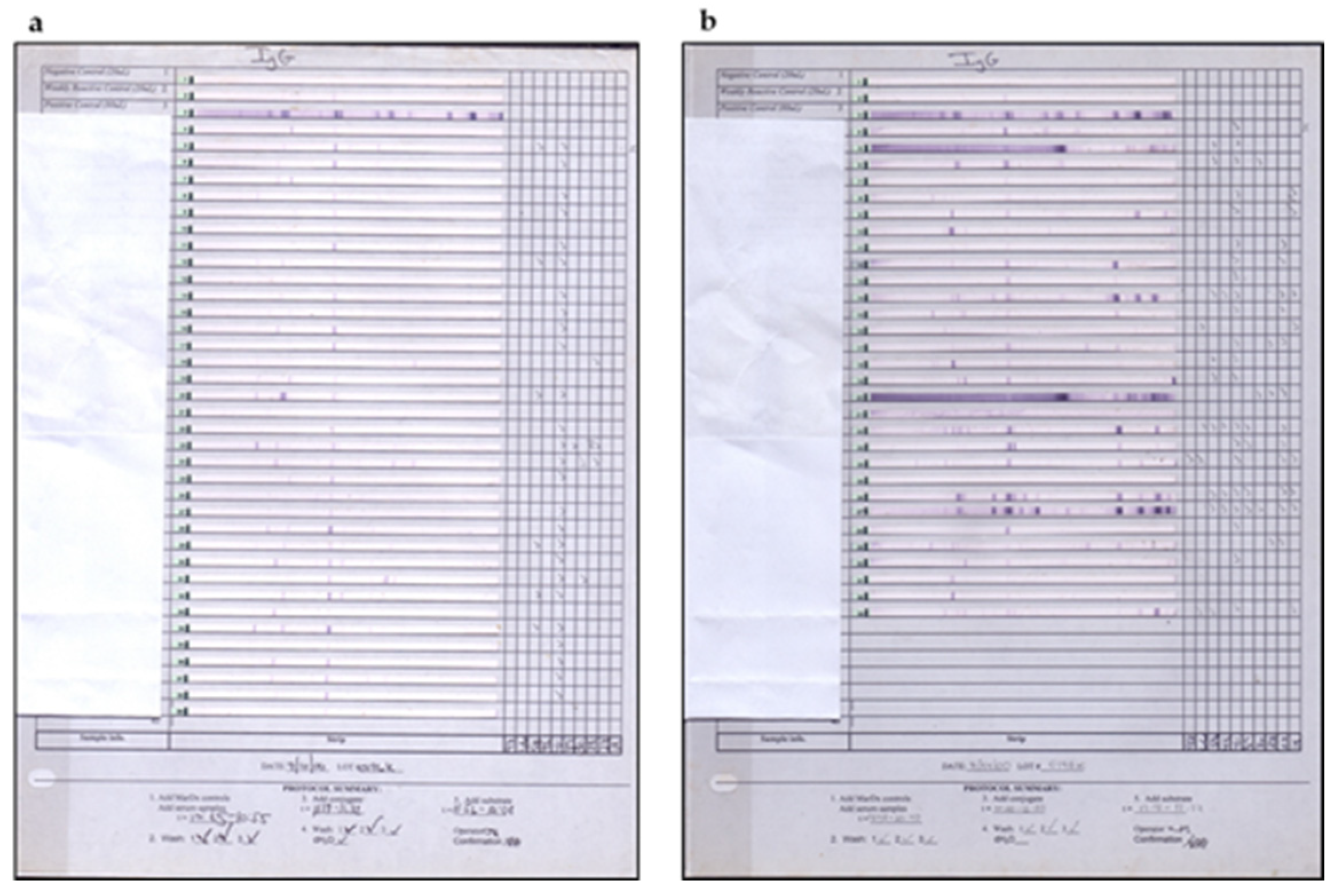 Pathogens 11 00889 g011 Pathogens 11 00889 g011