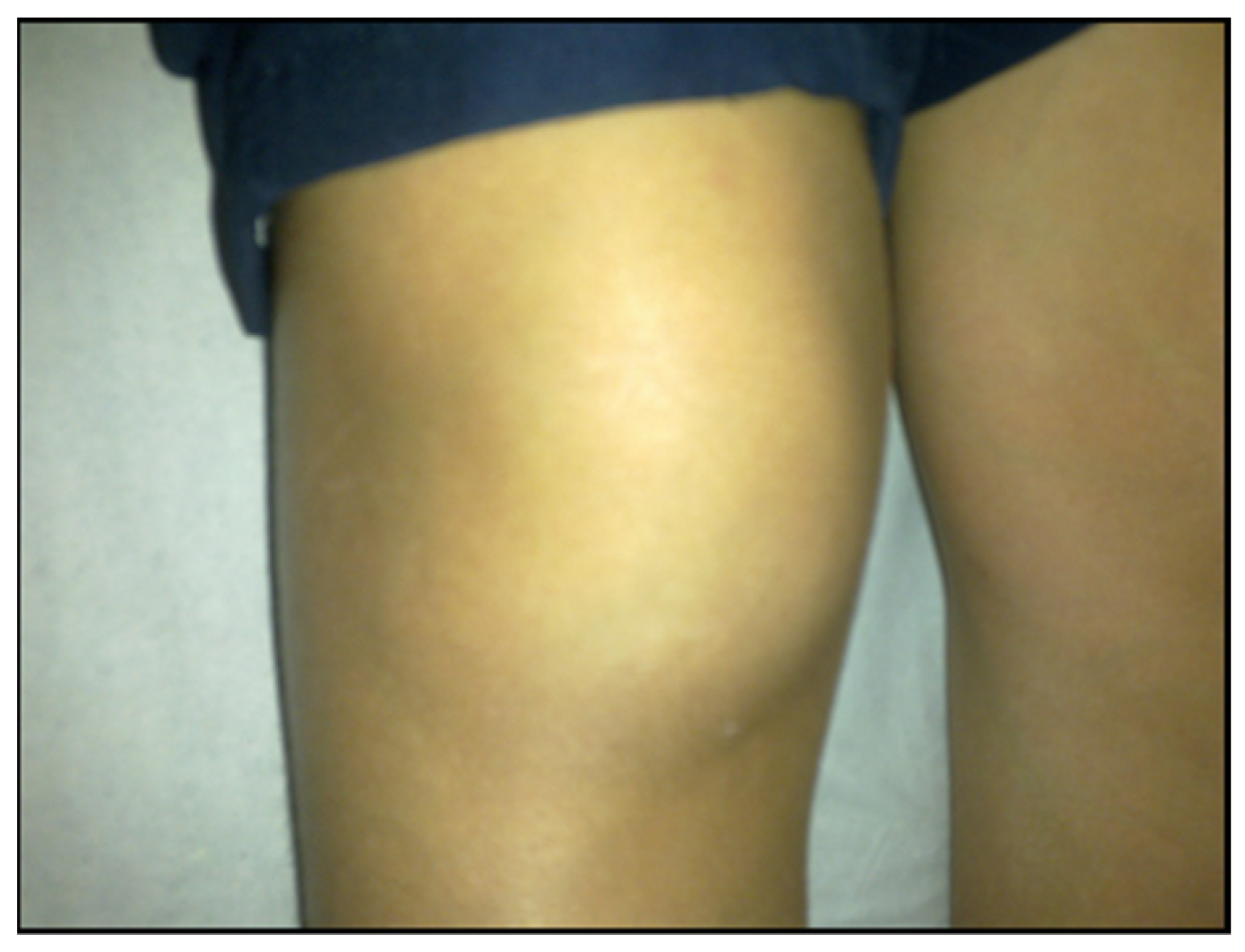 Pathogens 11 00889 g014 Pathogens 11 00889 g014