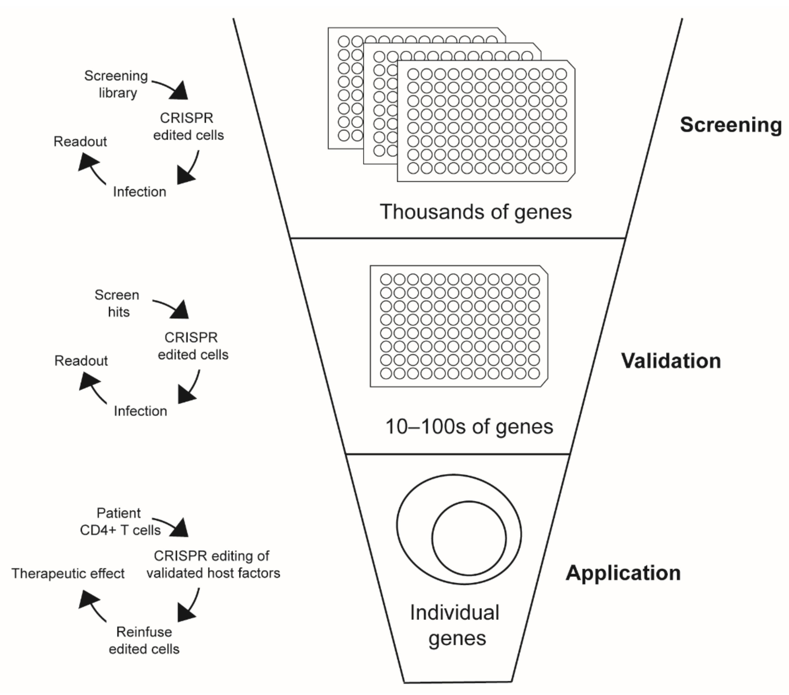 Pathogens 11 00891 g001 Pathogens 11 00891 g001