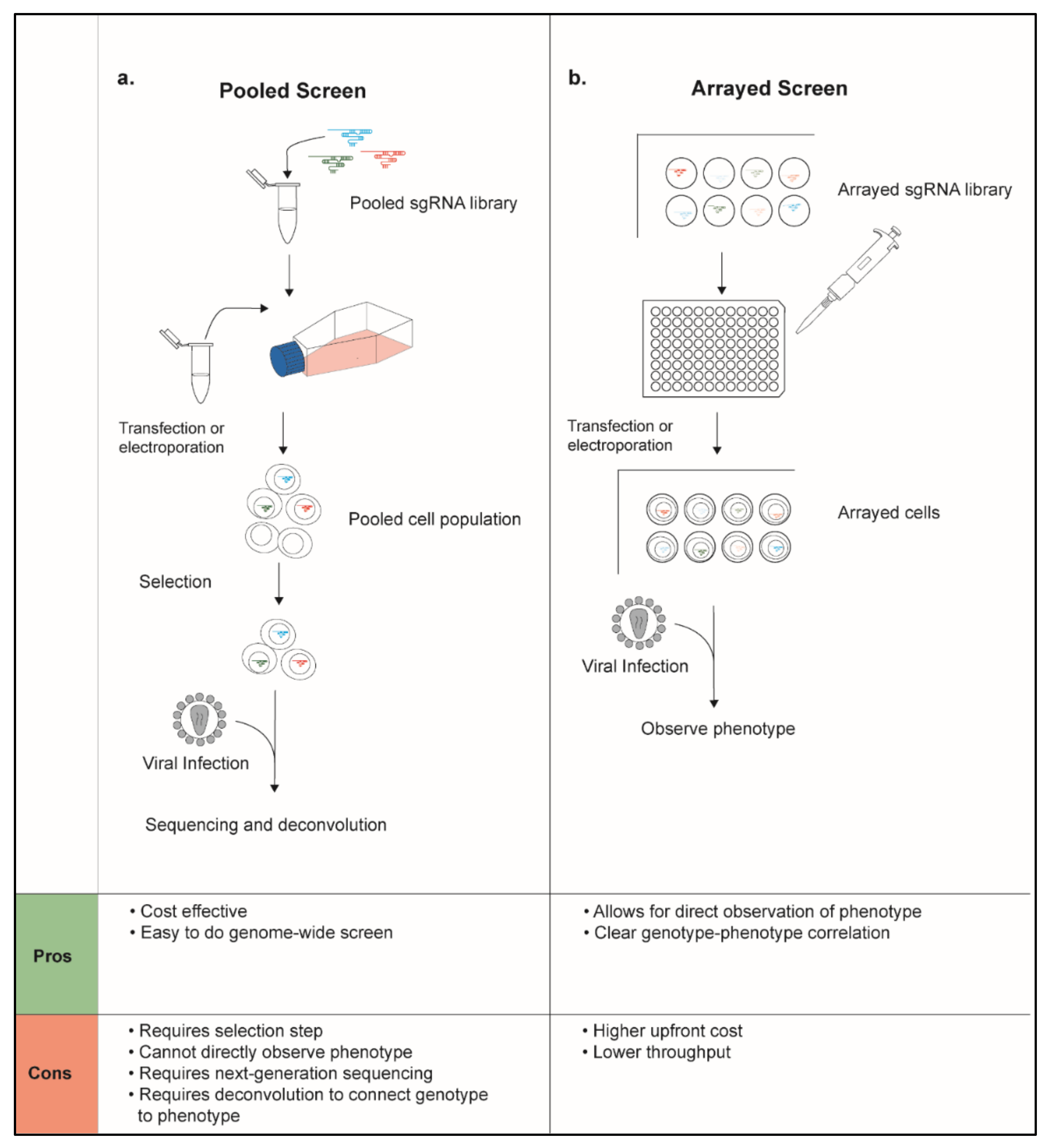 Pathogens 11 00891 g002 Pathogens 11 00891 g002