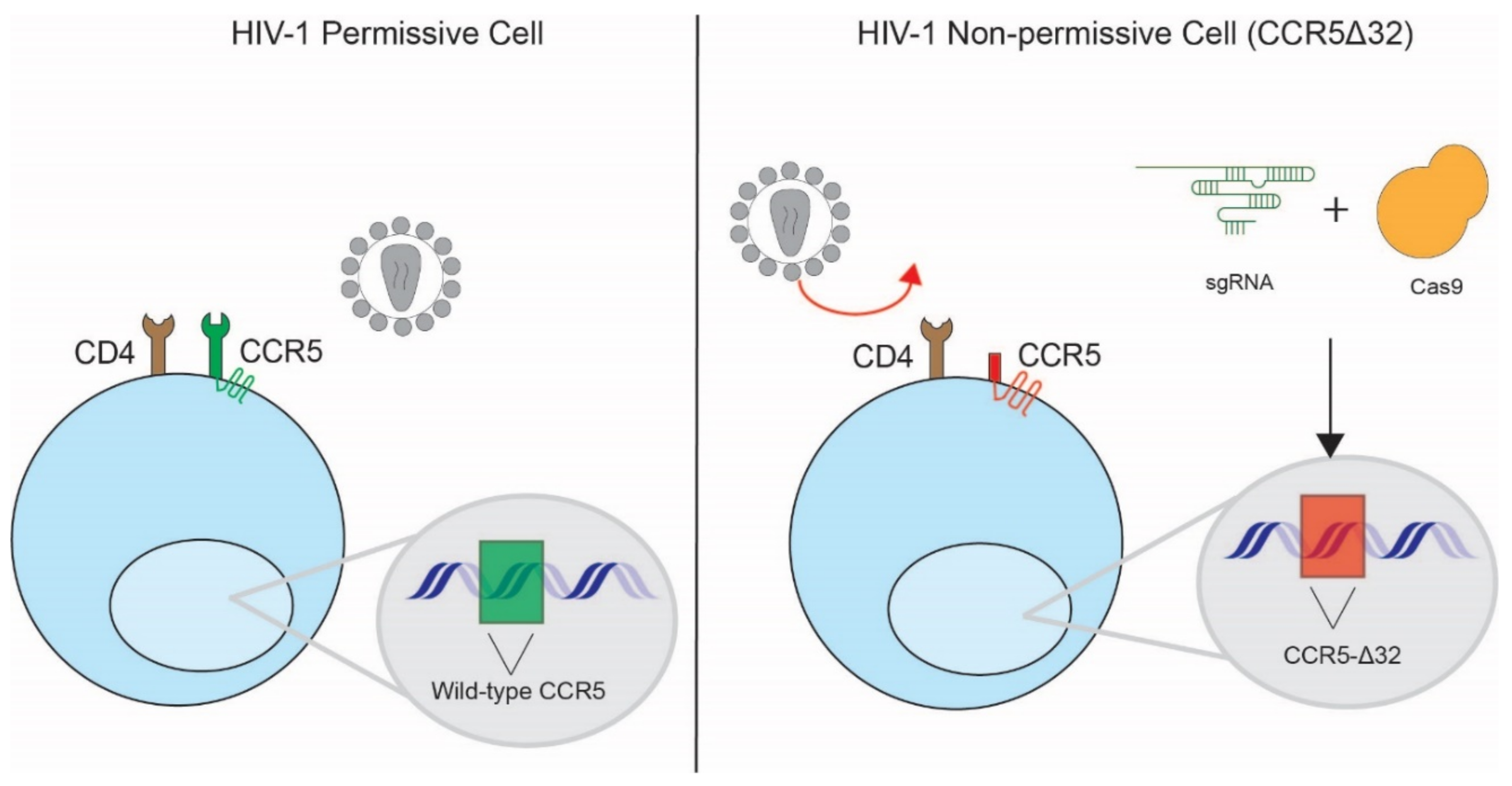 Pathogens 11 00891 g003 Pathogens 11 00891 g003