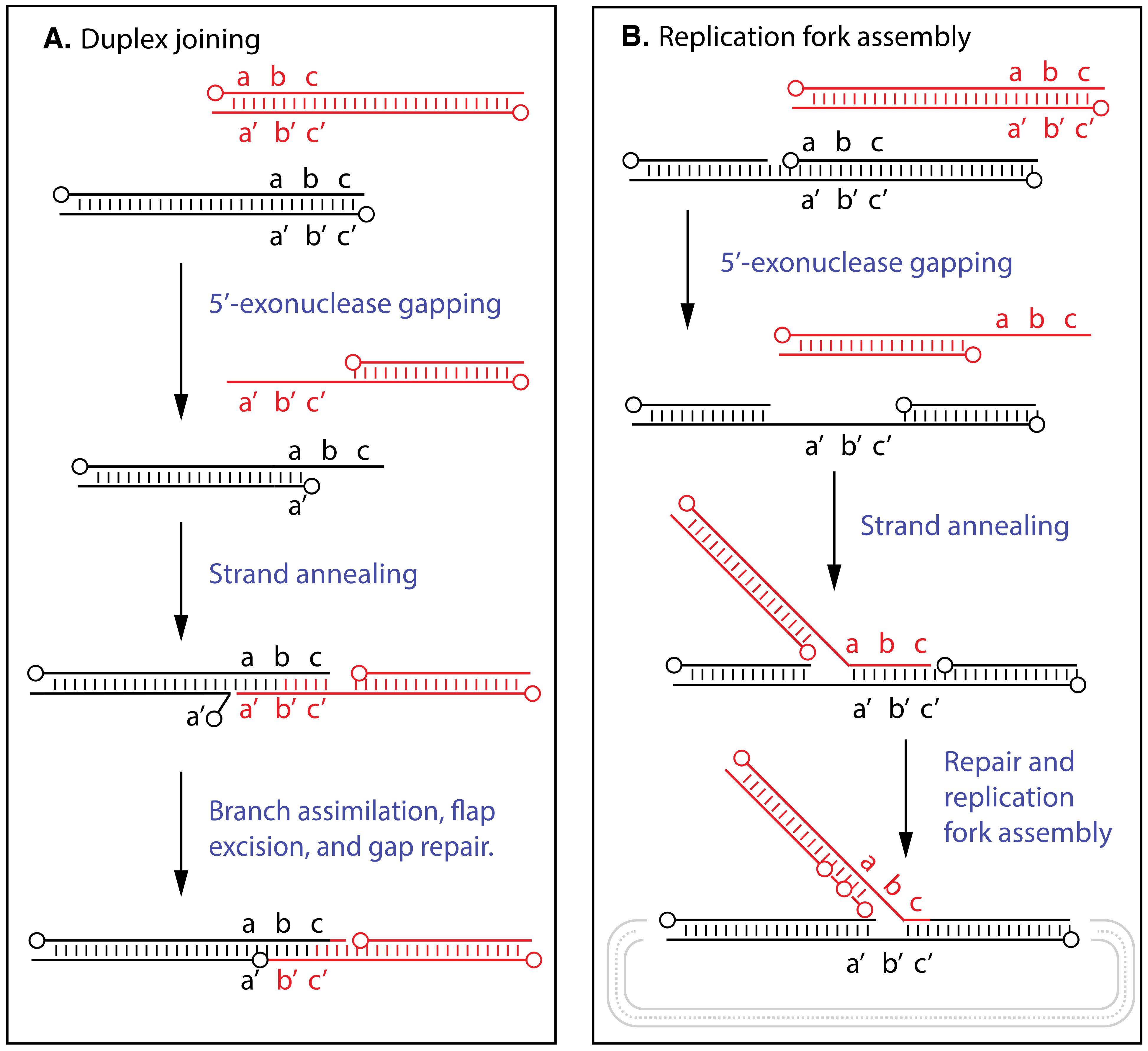 Pathogens 11 00896 g002 Pathogens 11 00896 g002