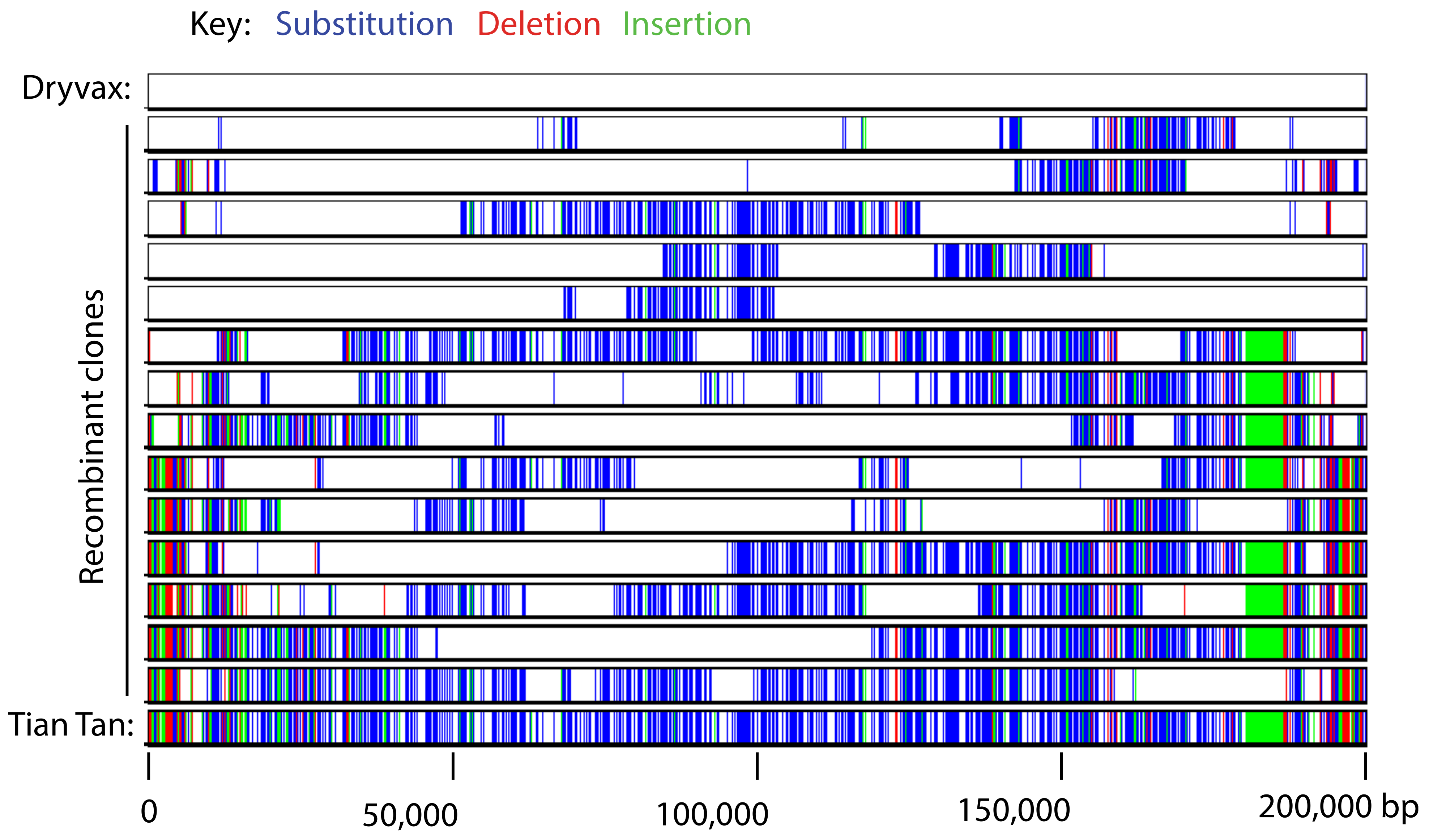 Pathogens 11 00896 g005 Pathogens 11 00896 g005