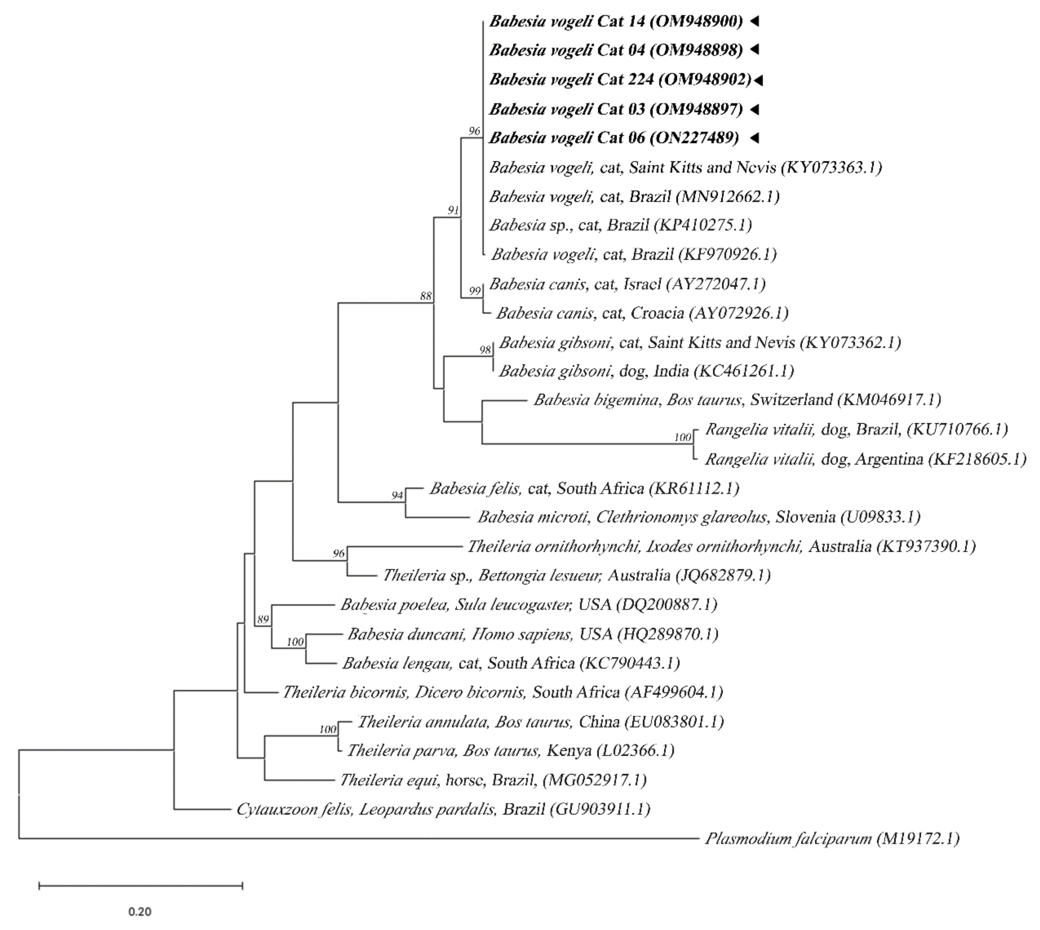Pathogens 11 00900 g001 550
