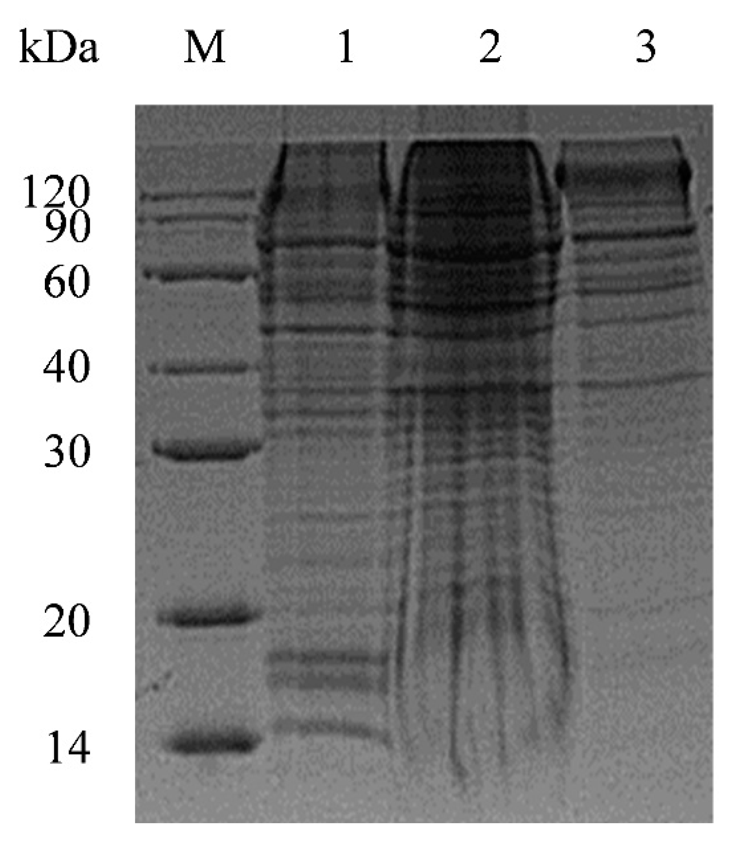 Pathogens 11 00910 g001 550