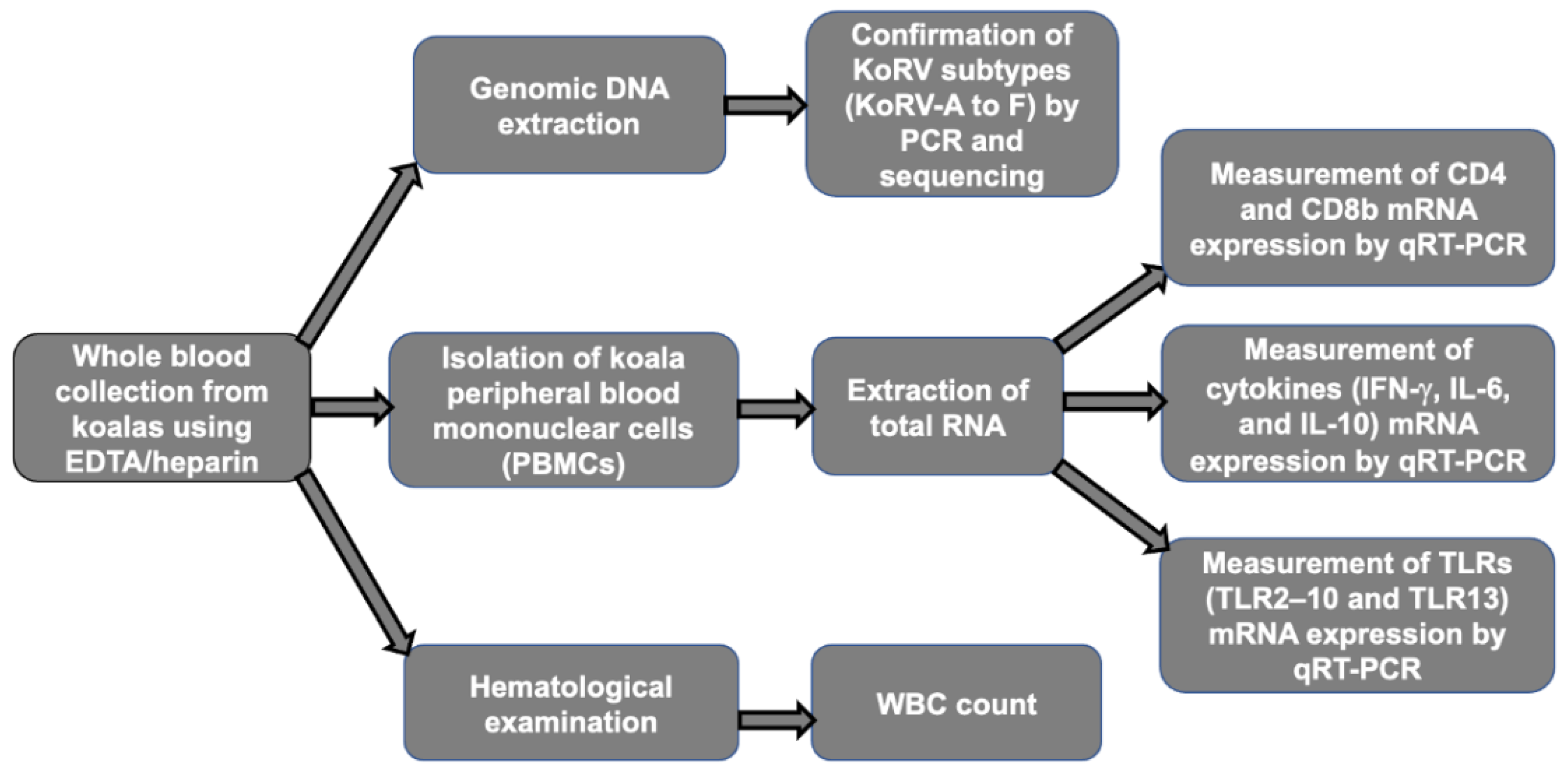 Pathogens 11 00911 g001 Pathogens 11 00911 g001