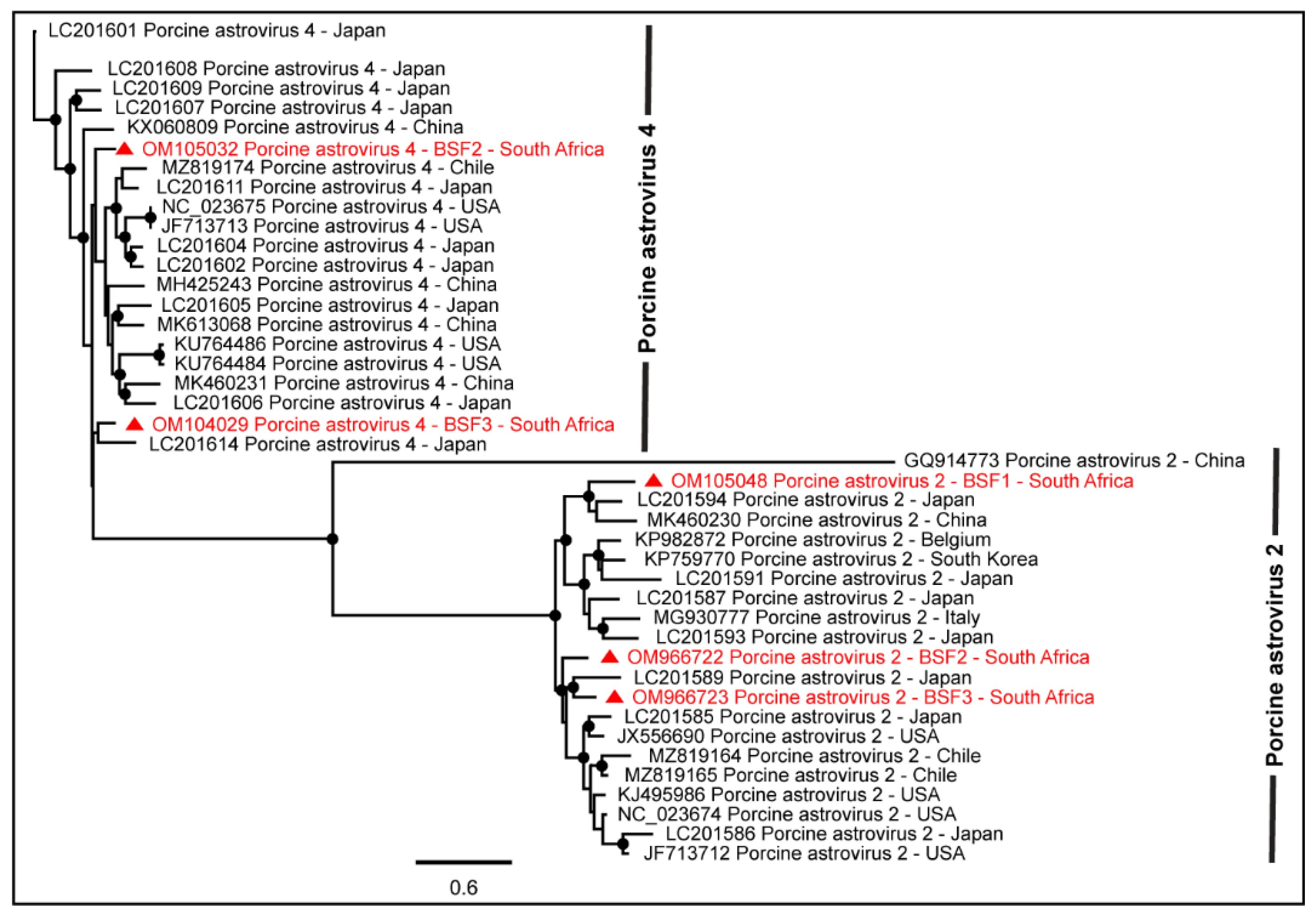 Pathogens 11 00927 g002 550