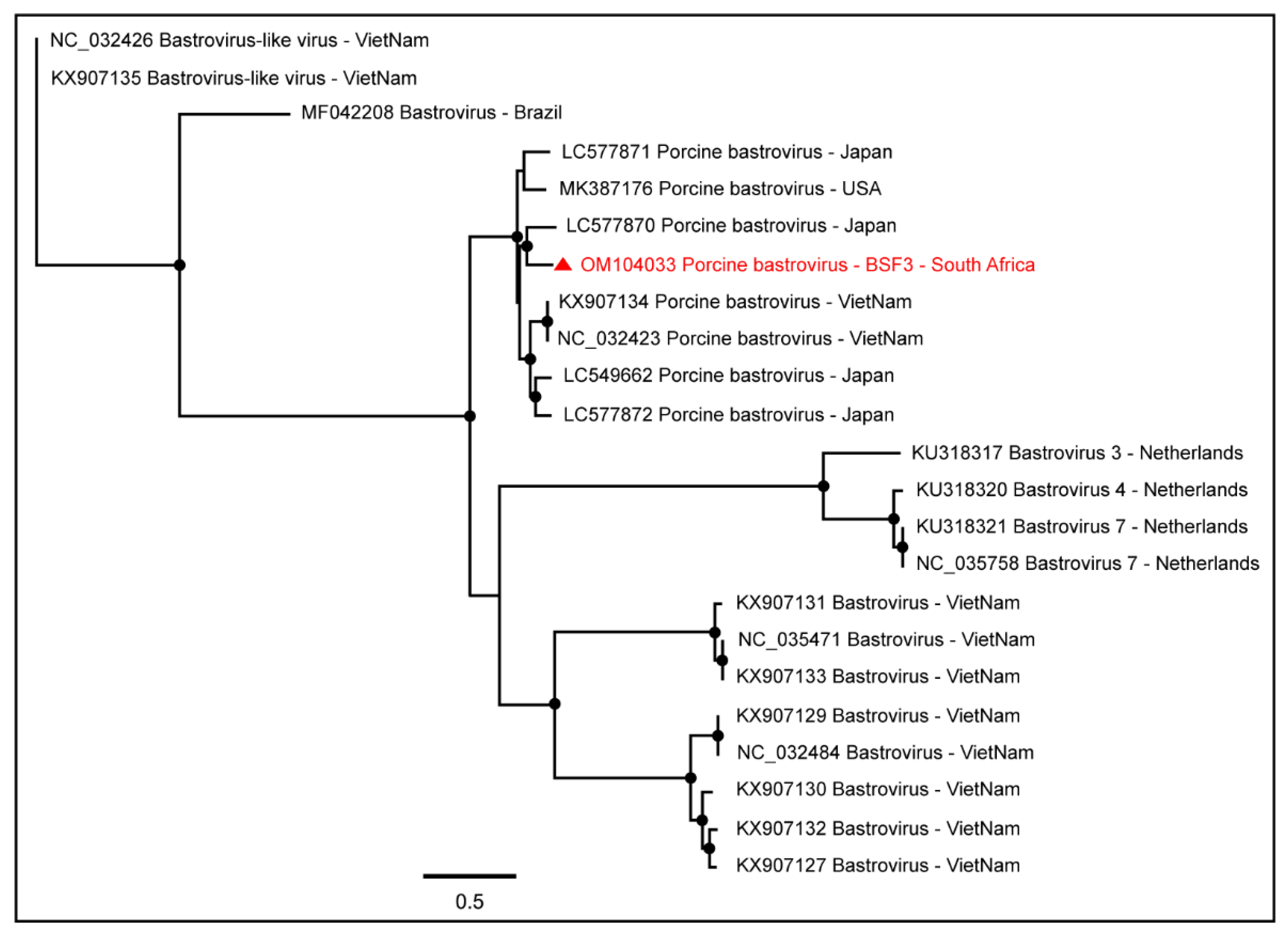Pathogens 11 00927 g004 550