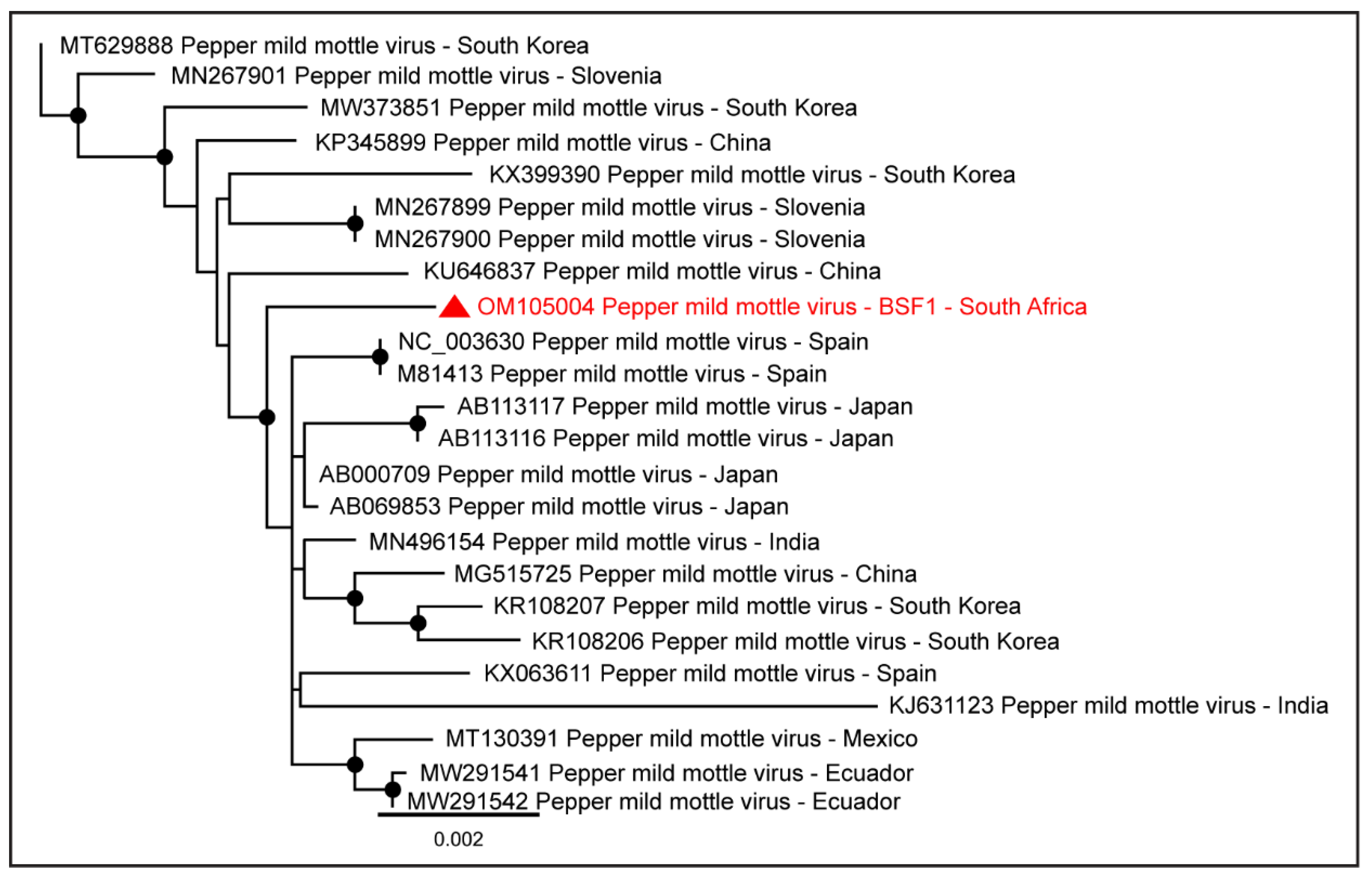 Pathogens 11 00927 g012 550