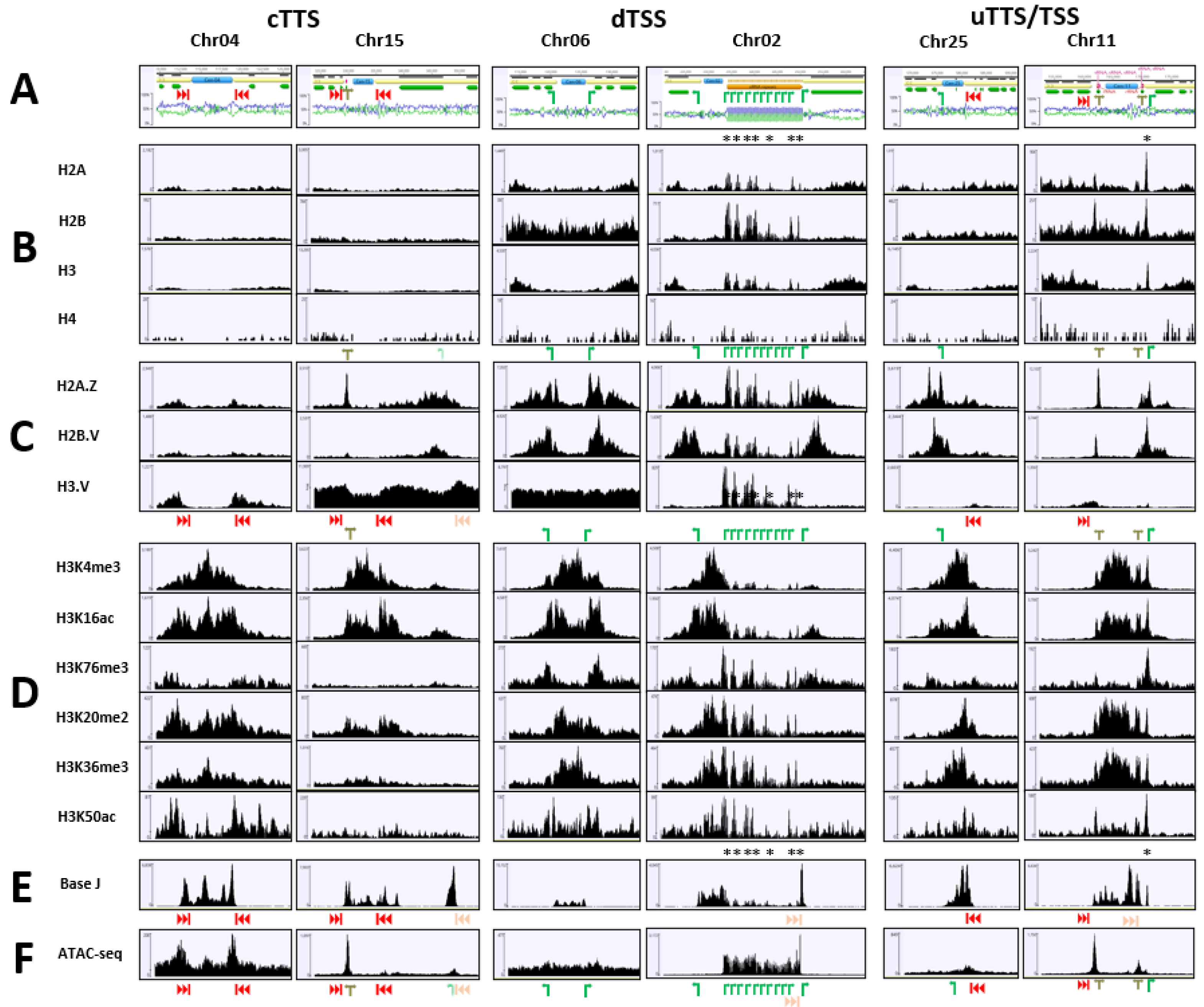 Pathogens 11 00930 g002 Pathogens 11 00930 g002