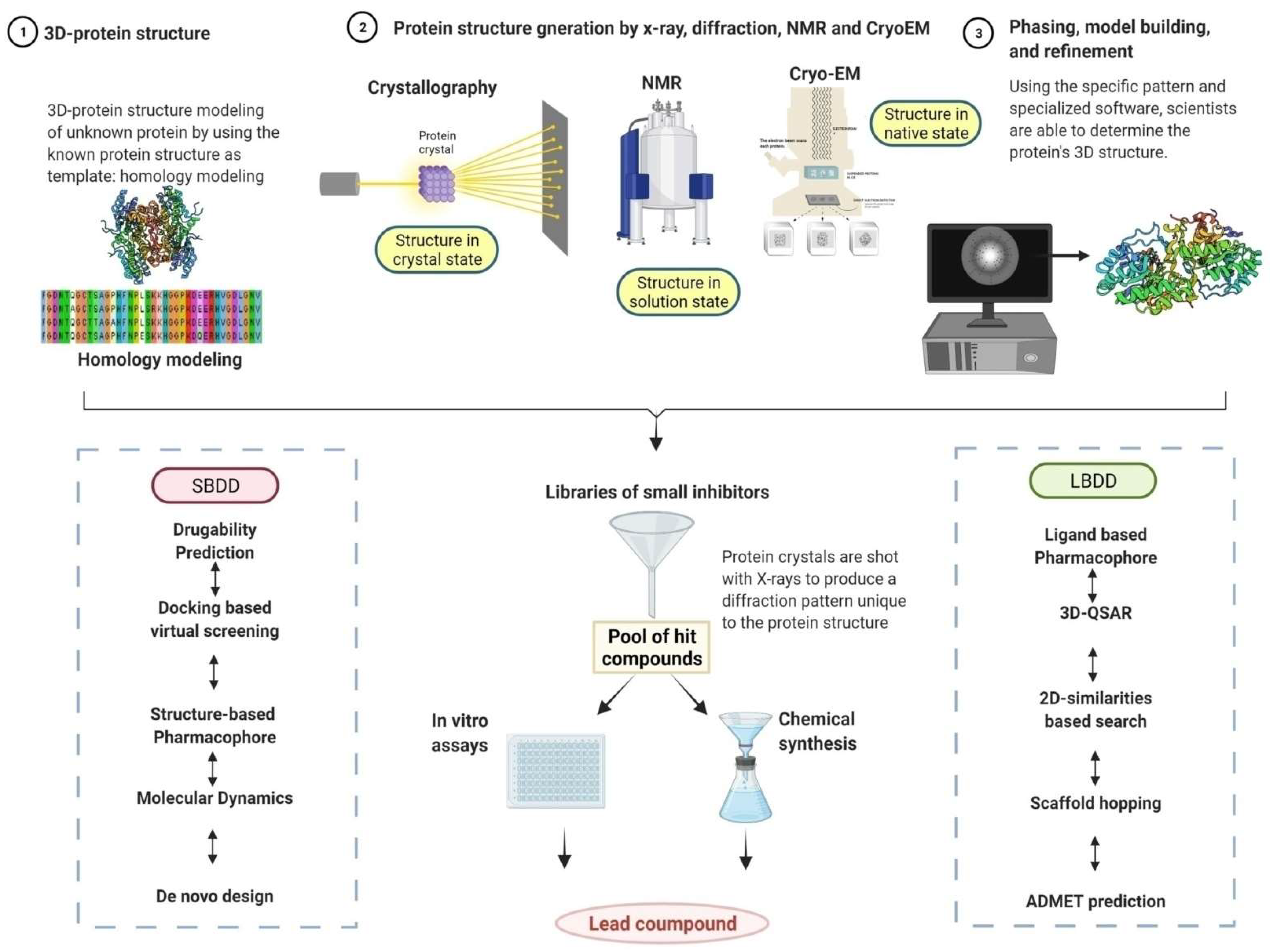 Pathogens 11 00950 g003