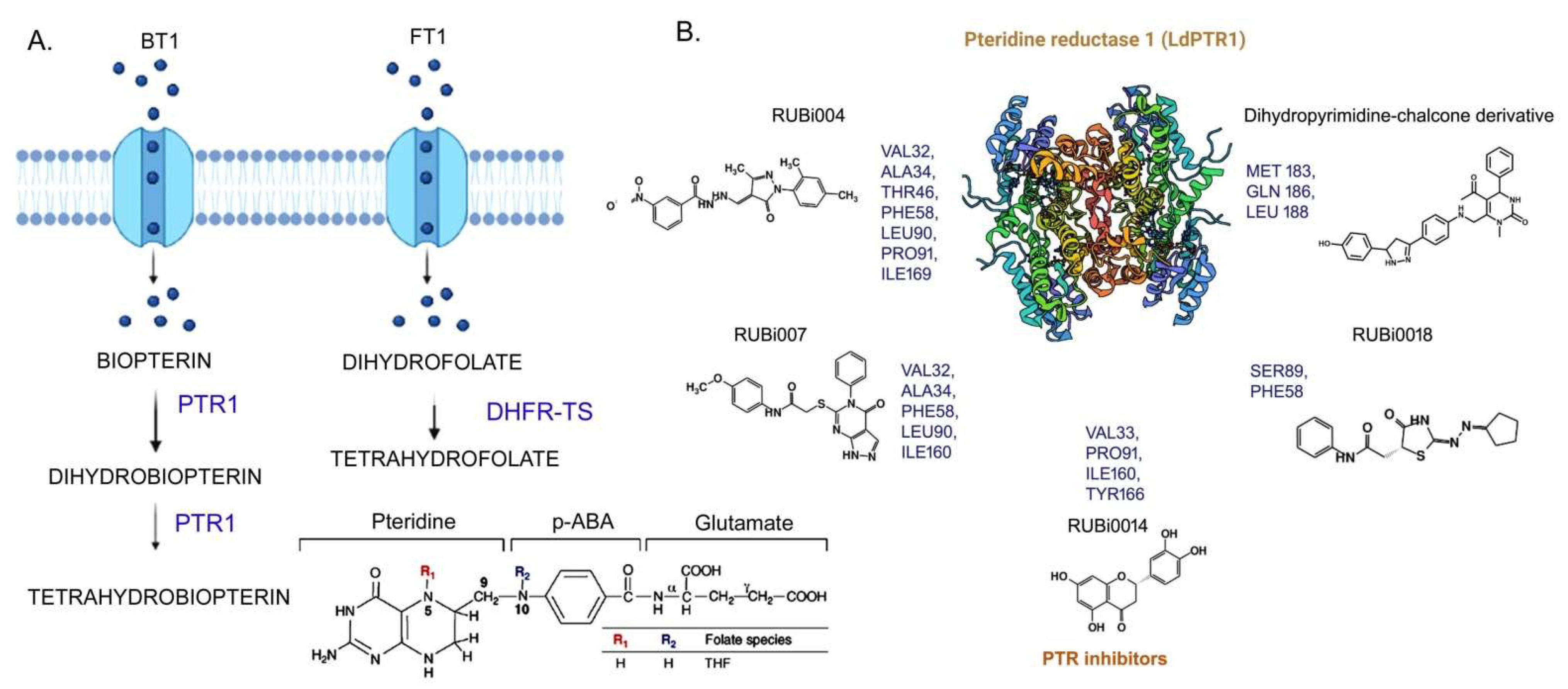 Pathogens 11 00950 g005