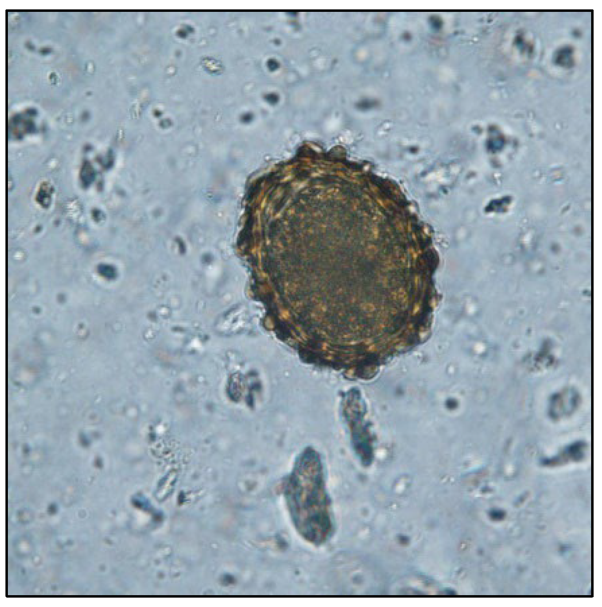 Pathogens 11 00954 g003 Pathogens 11 00954 g003