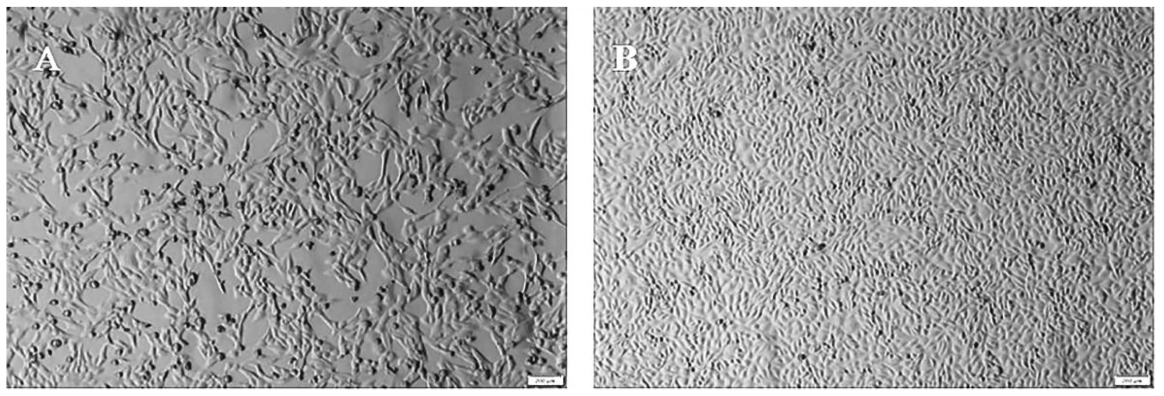 Pathogens 11 00962 g001 Pathogens 11 00962 g001